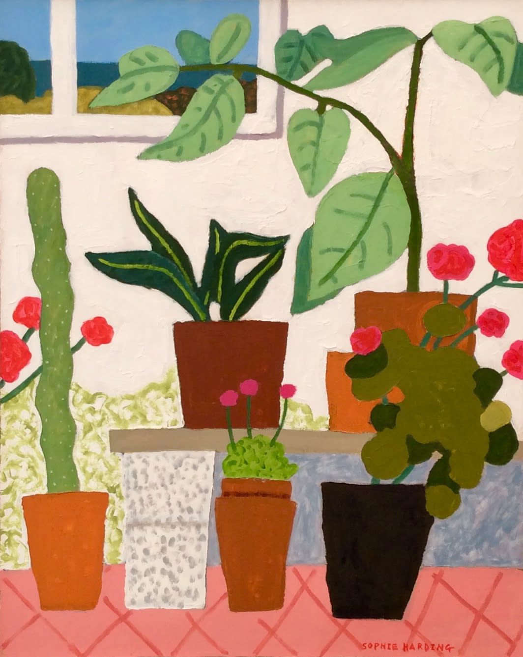 Sophie Harding, Pots and Plants at the Hepworth