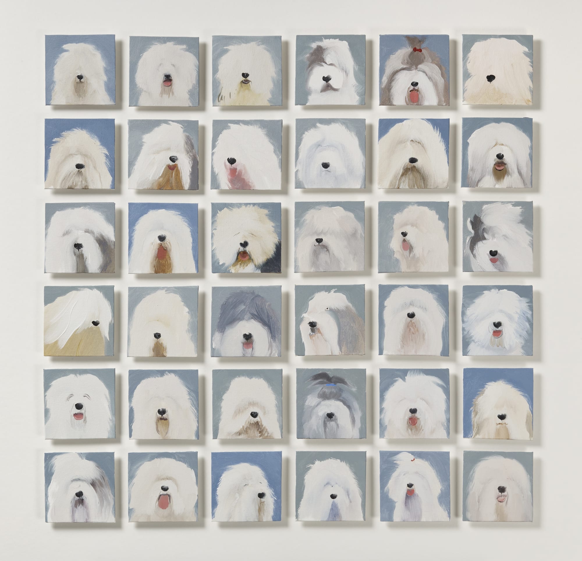 Holly Frean, Thirty-Six Old English Sheepdogs