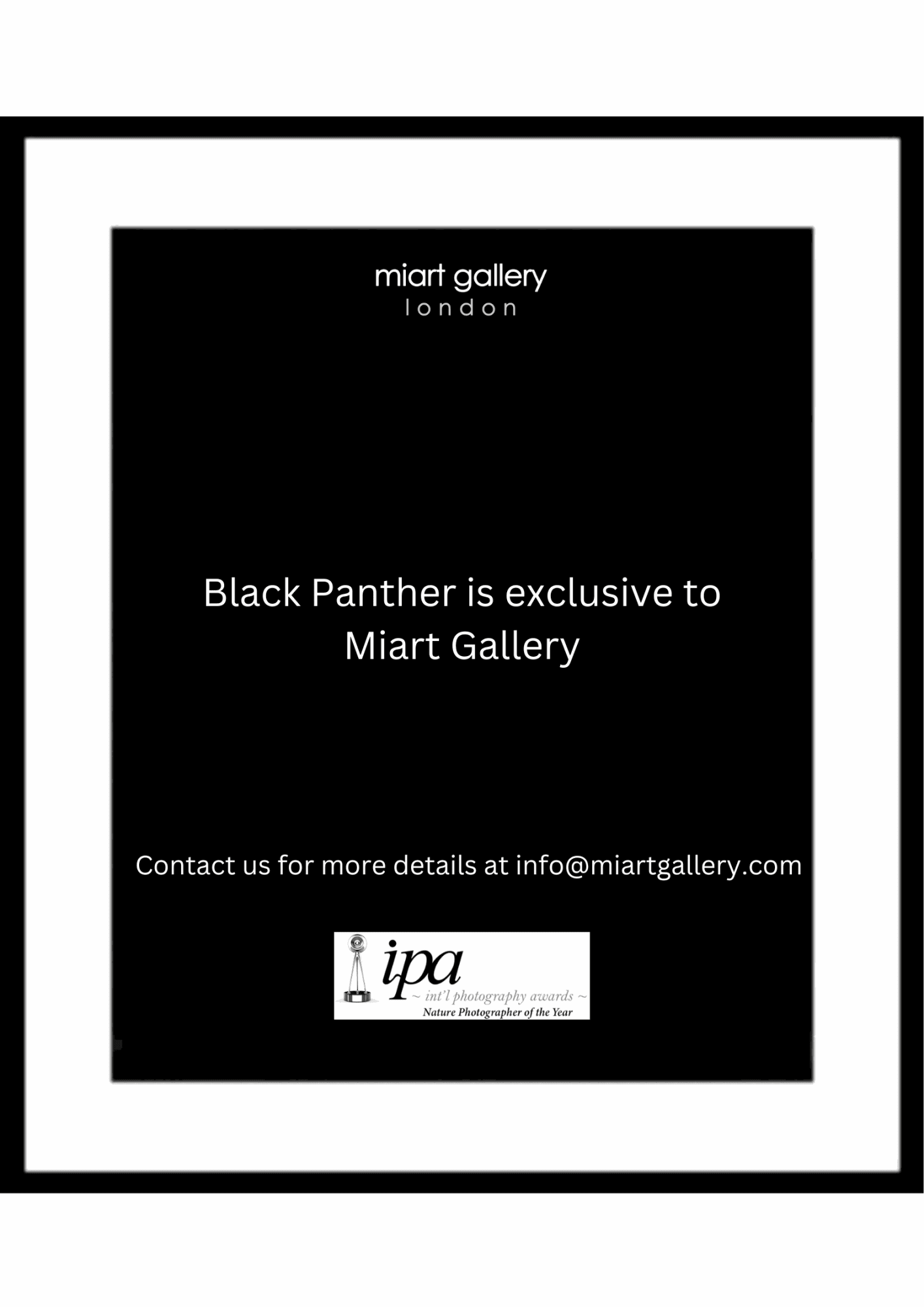 Lars Beusker, Black Panther, 2021