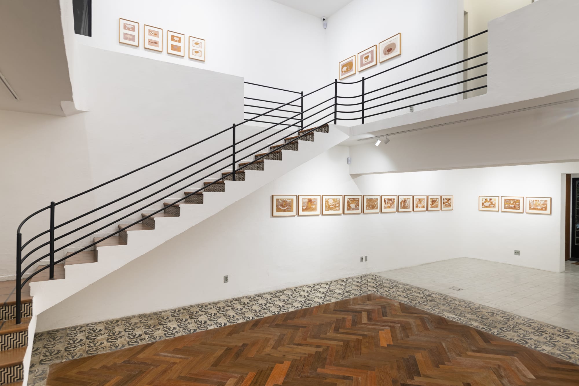 Maria Lira Marques: Obras recentes