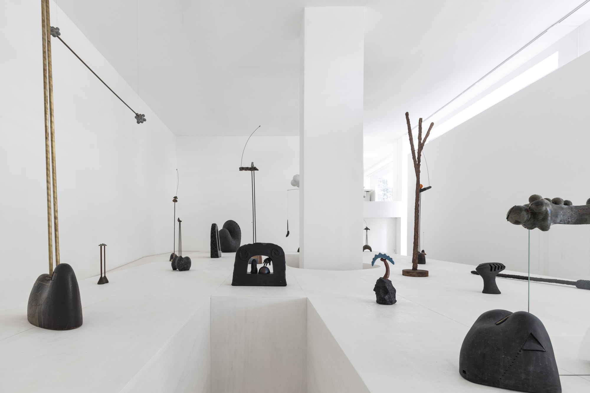 Foto [Photo] Ruy Teixeira