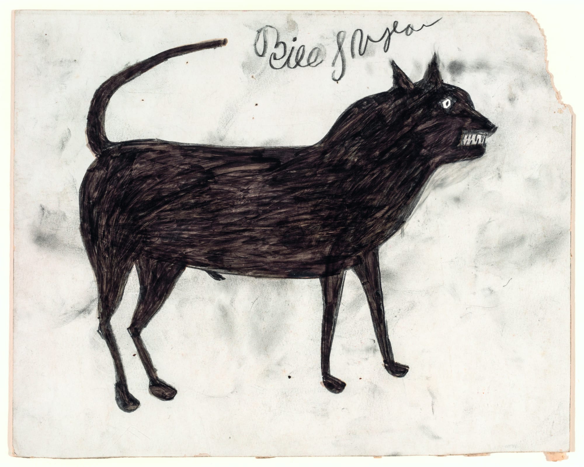 Bill Trayor, Black Dog