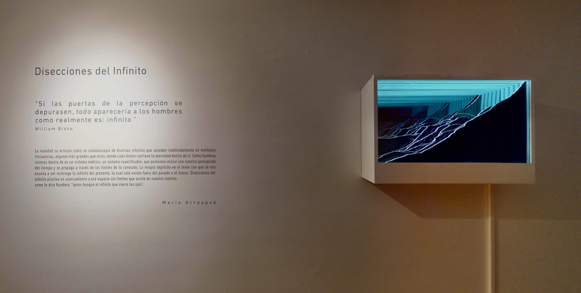 Dissections of the Infinite