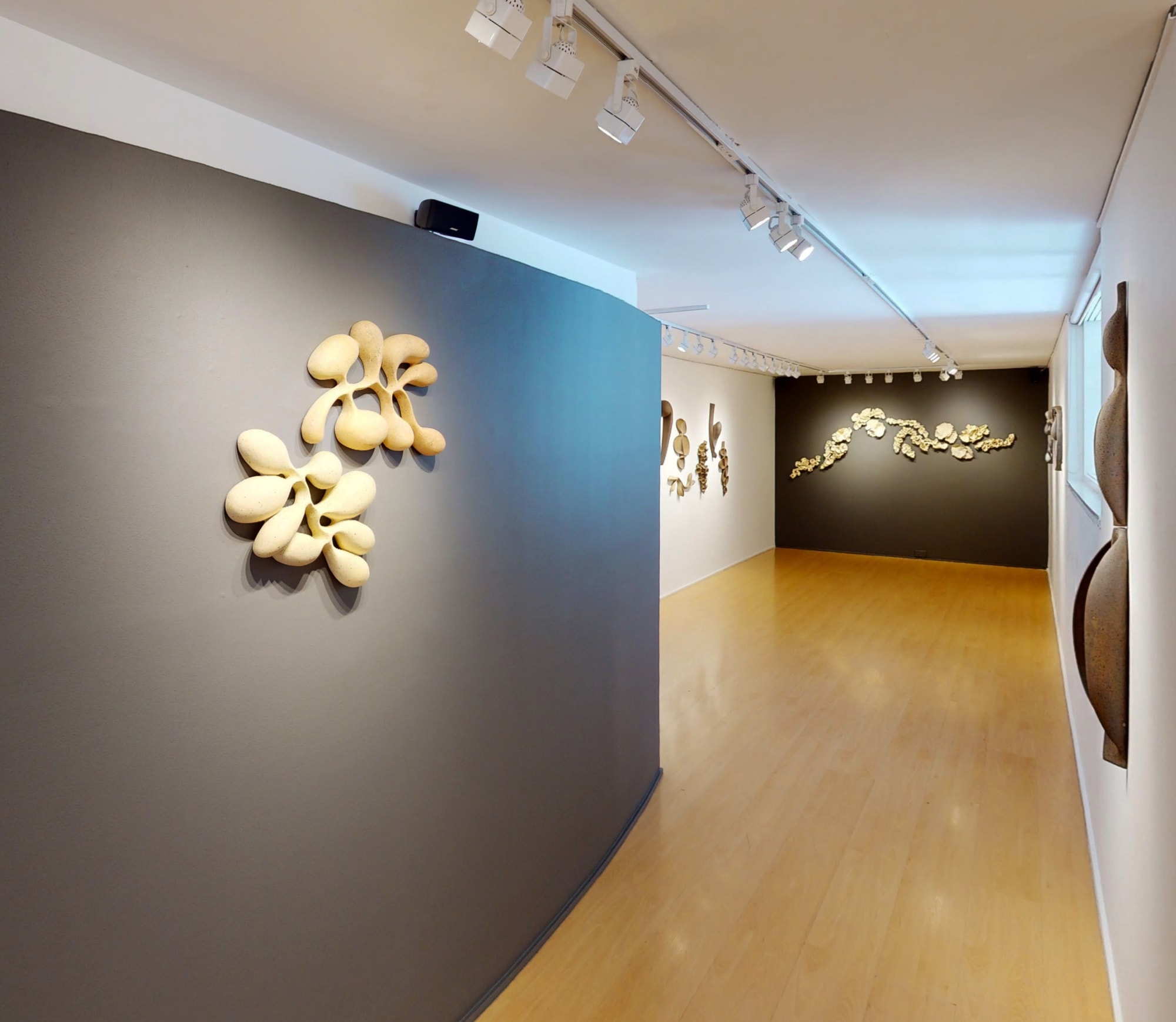 Viriditas - A Song to Flora