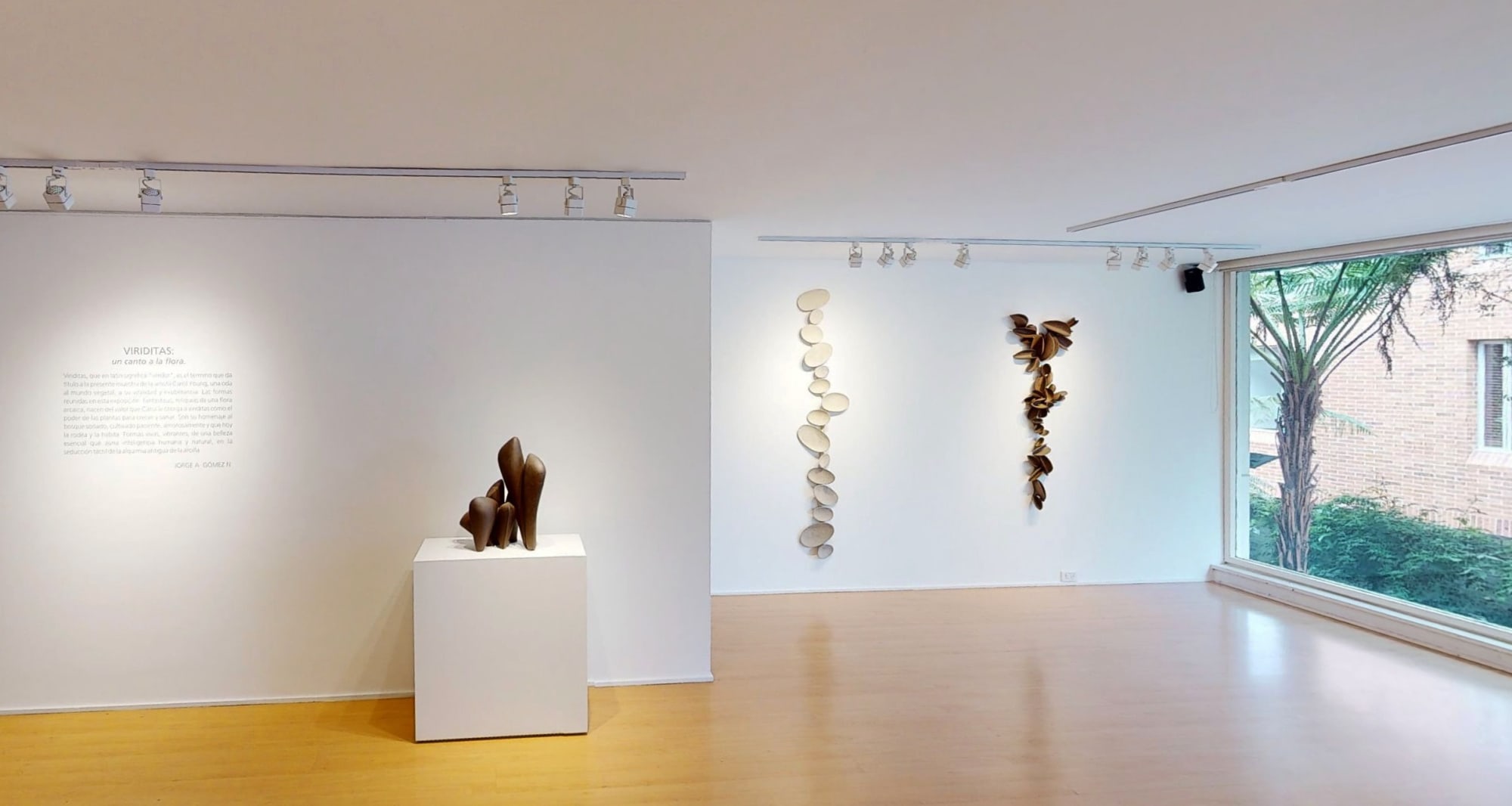 Viriditas - A Song to Flora