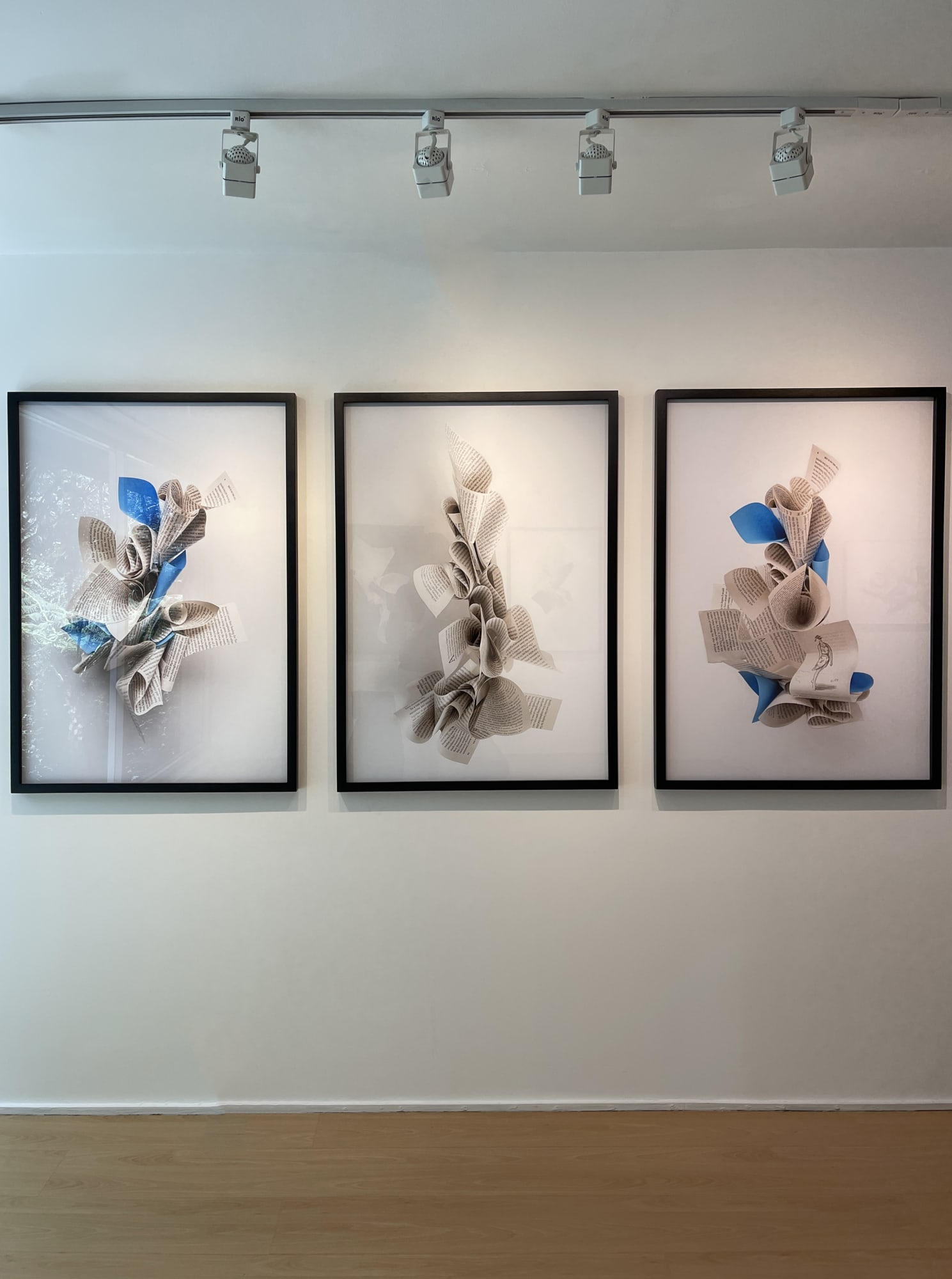 And, What Shall We Name It?