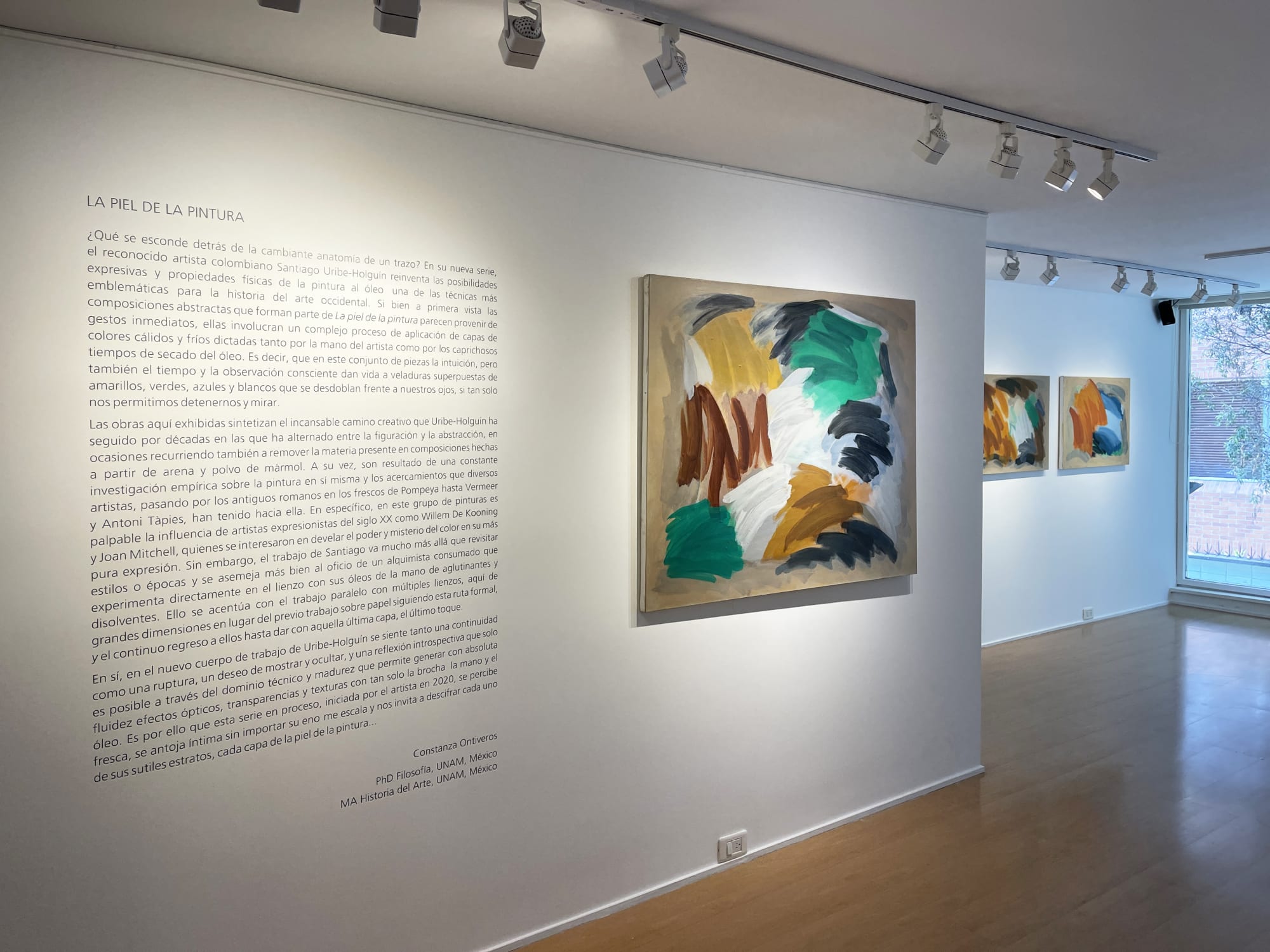 The Skin of Painting