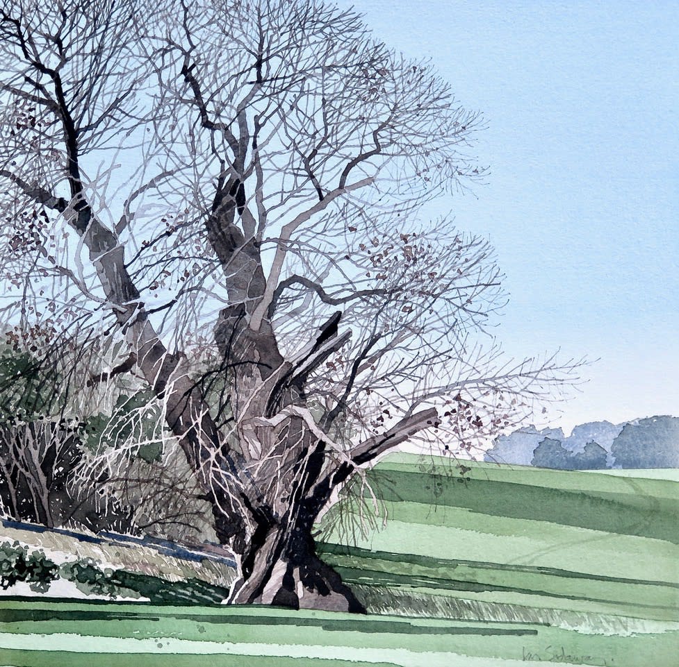 Royal Institute of Painters in Watercolours