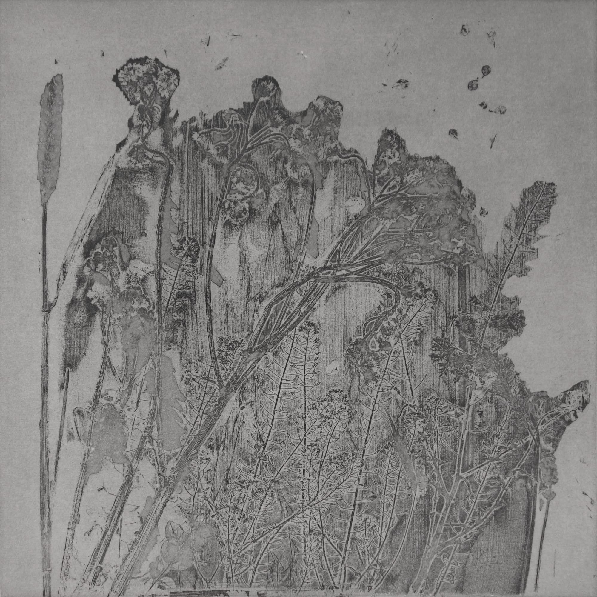 Greenwich Printmakers