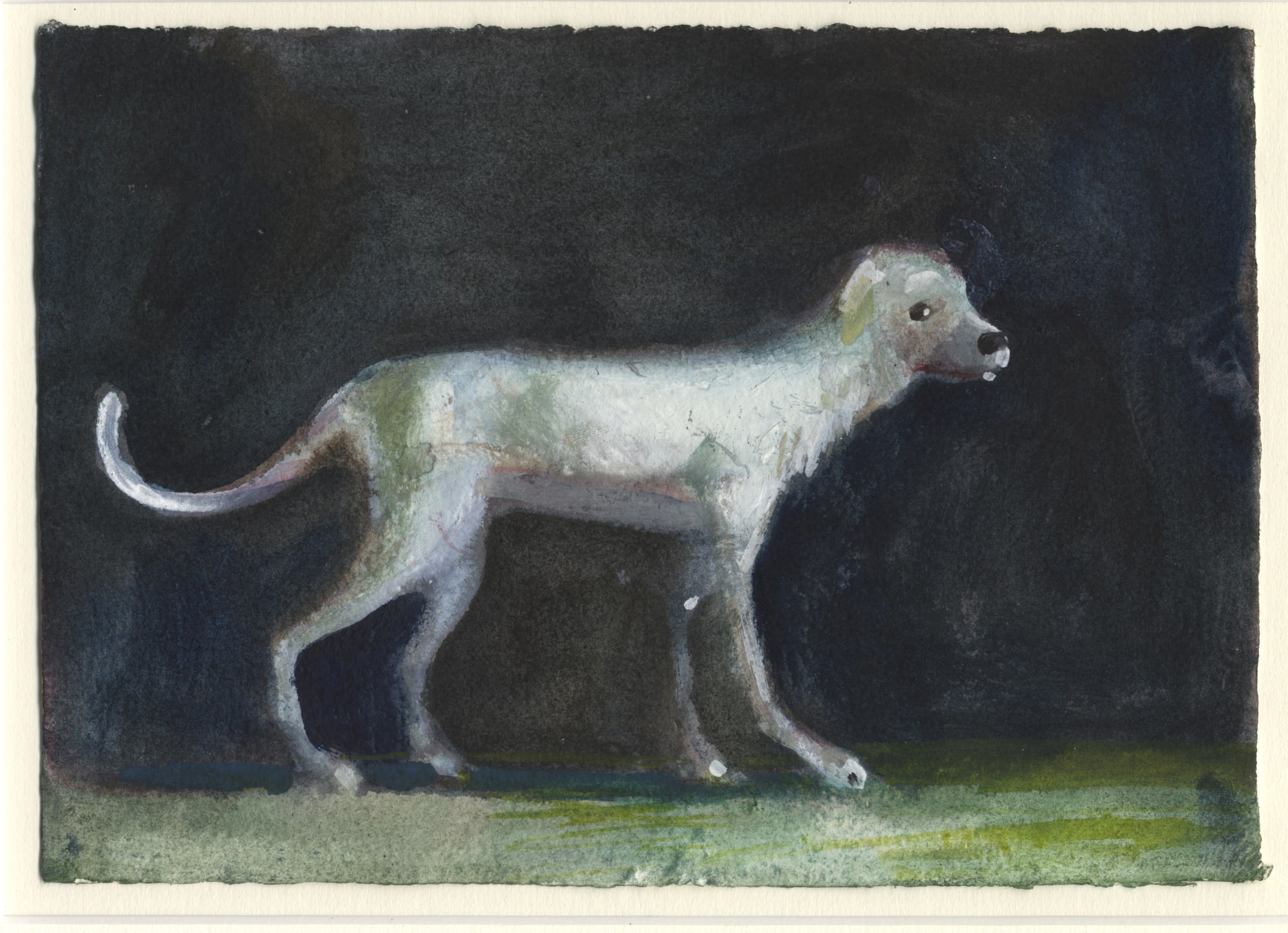 Charles Williams, White Dog V1, 2022