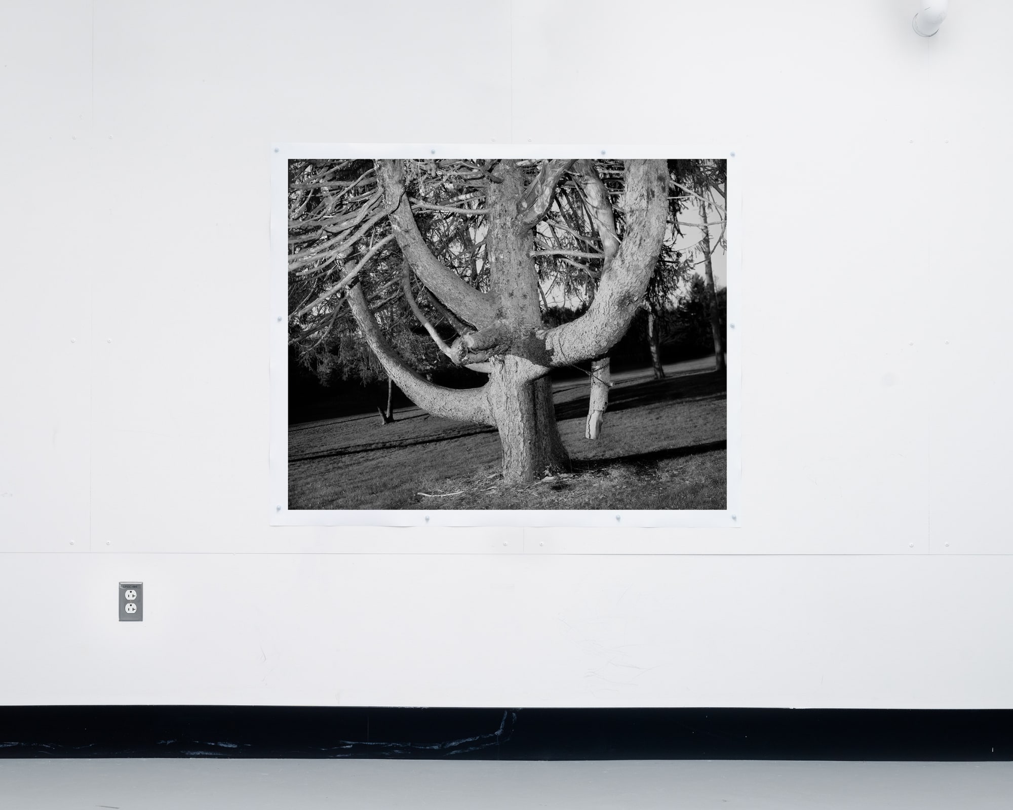 Johnsonville Village, 2020