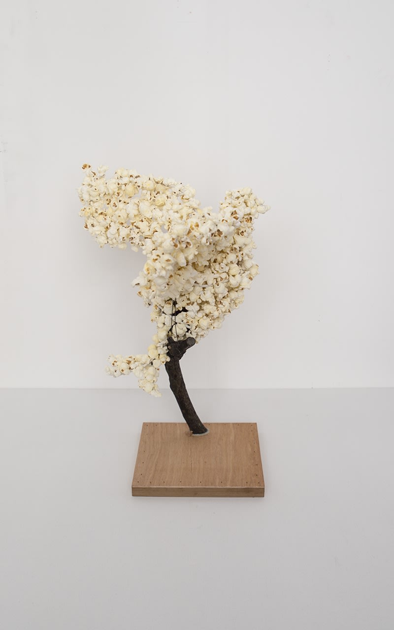 Genesis 2018:1-12 (detail), 2019