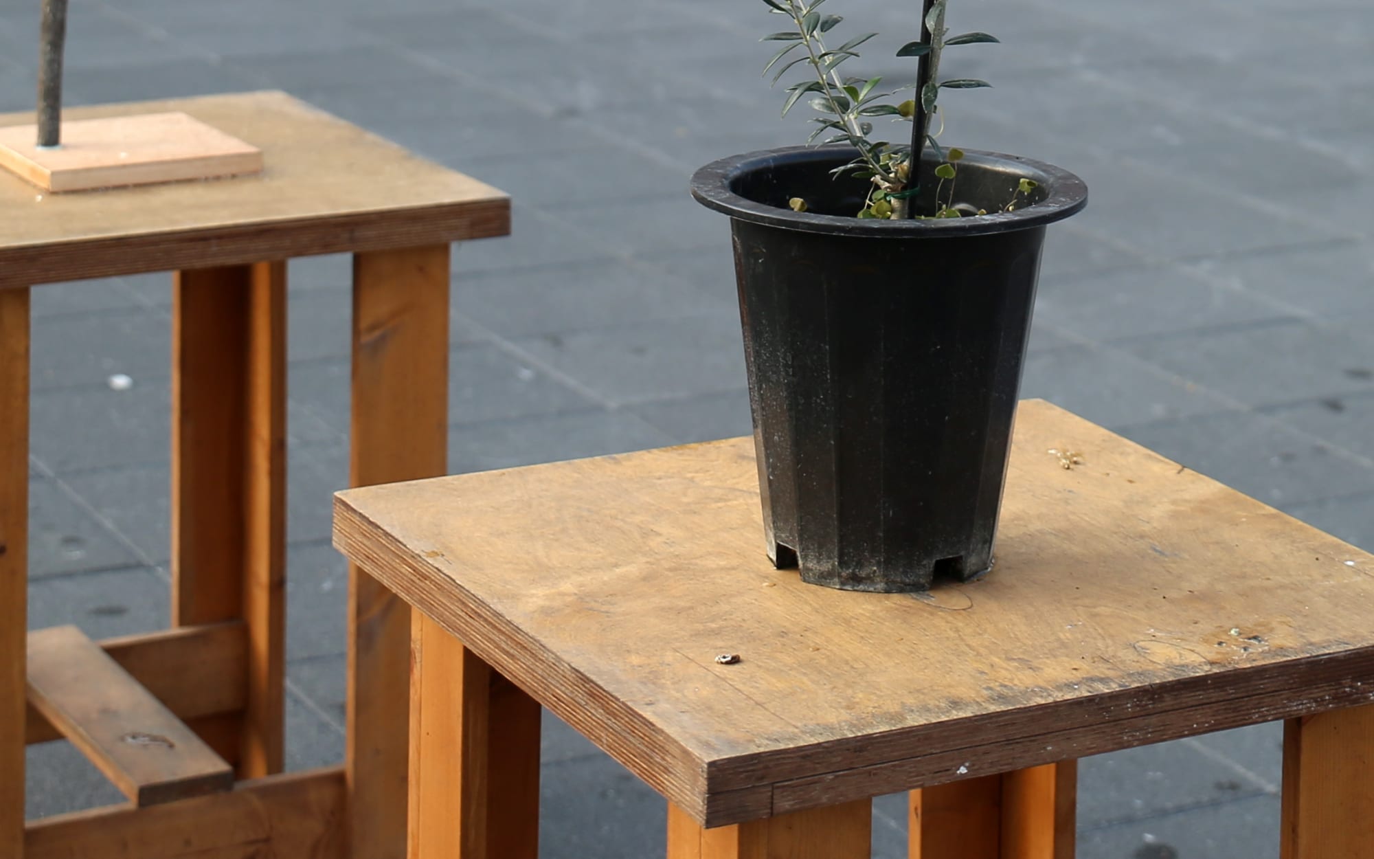 Genesis 2018:1-12 (detail), 2019