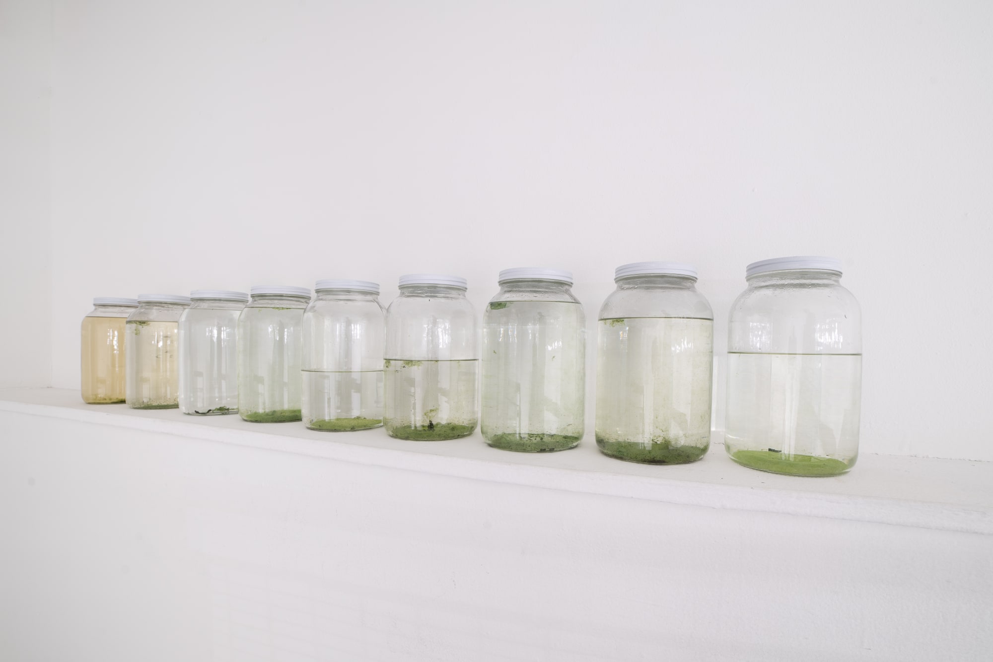 untitled, (2020 - ongoing)