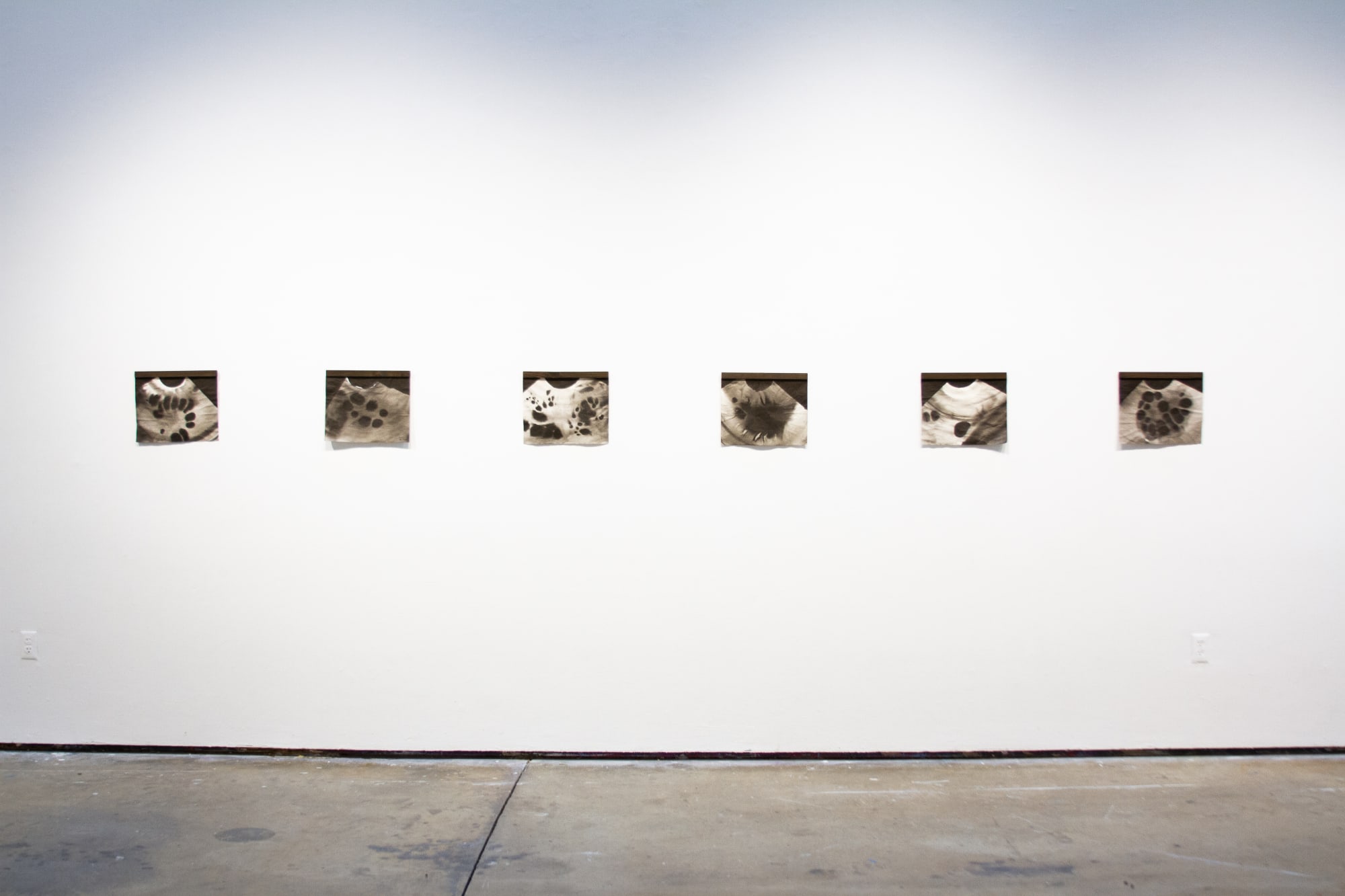 Sonogram drawings installation