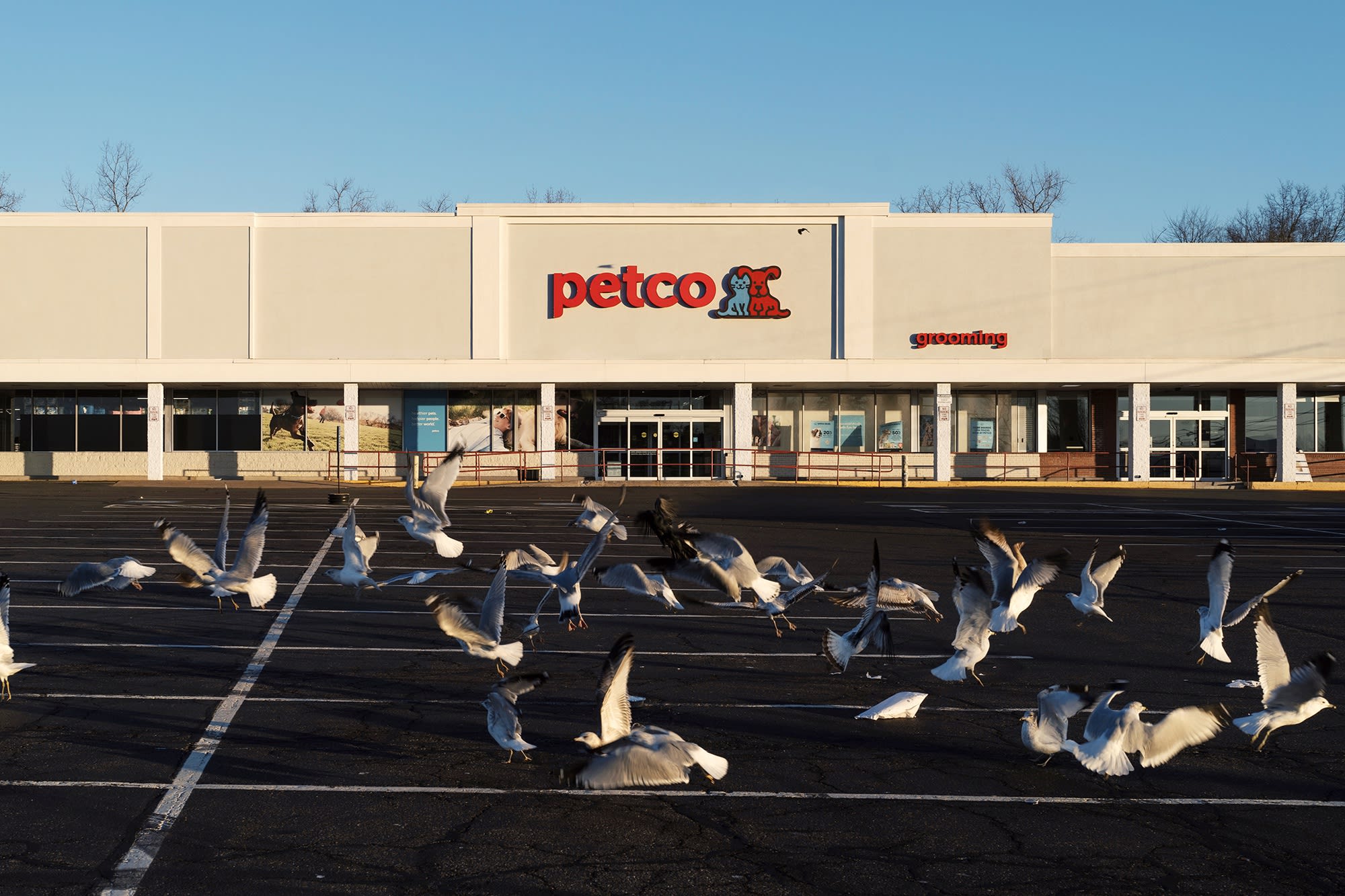Petco Parking Lot, digital photograph, archival pigment print, 14" x 21", 2024.
