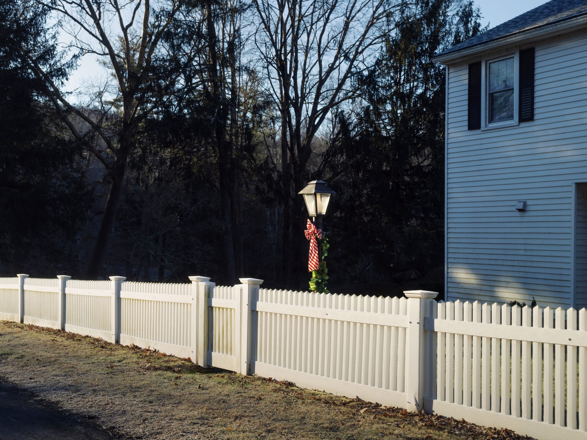 Lamppost, digital photograph, archival pigment print, 15" x 20", 2024.