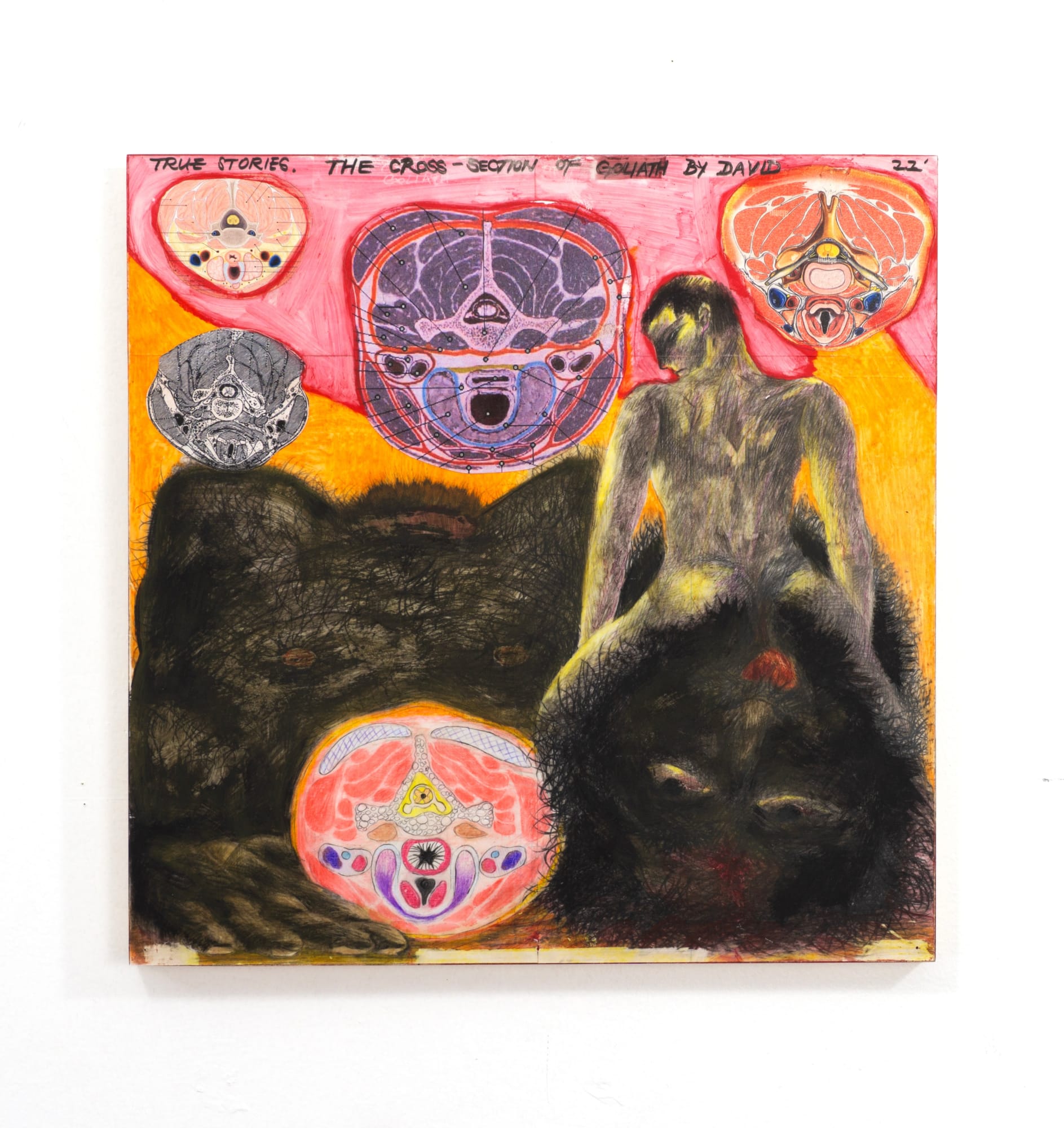 The Cross-section of Goliath by David 2022