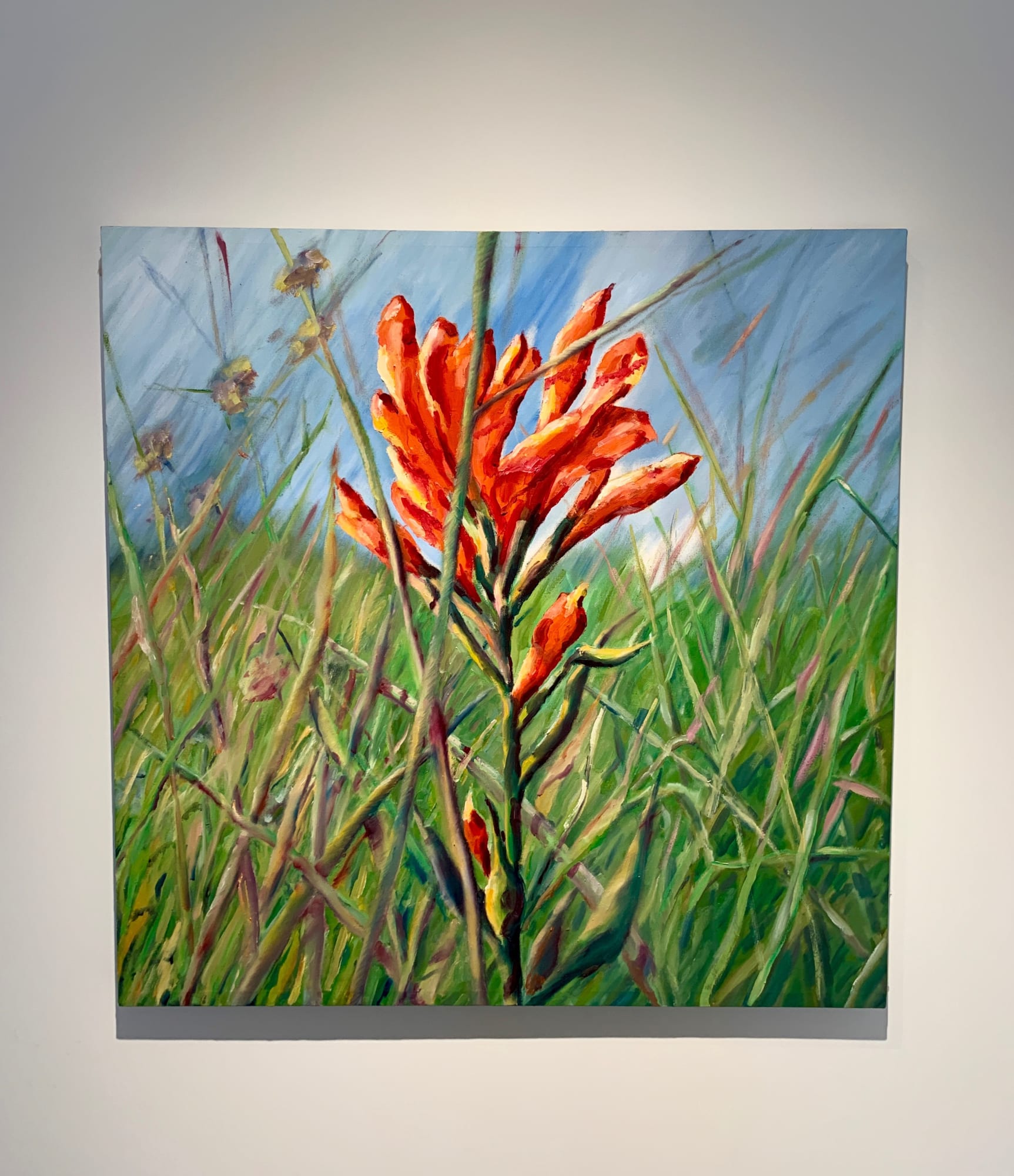 MICHAEL HULME: THROUGH HIS EYES