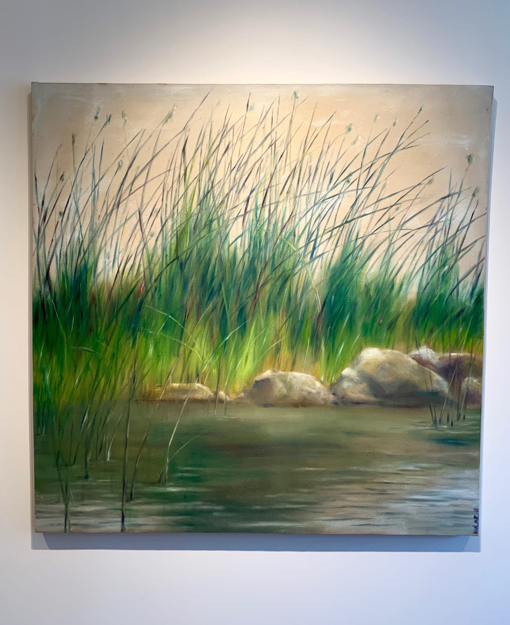 MICHAEL HULME: THROUGH HIS EYES