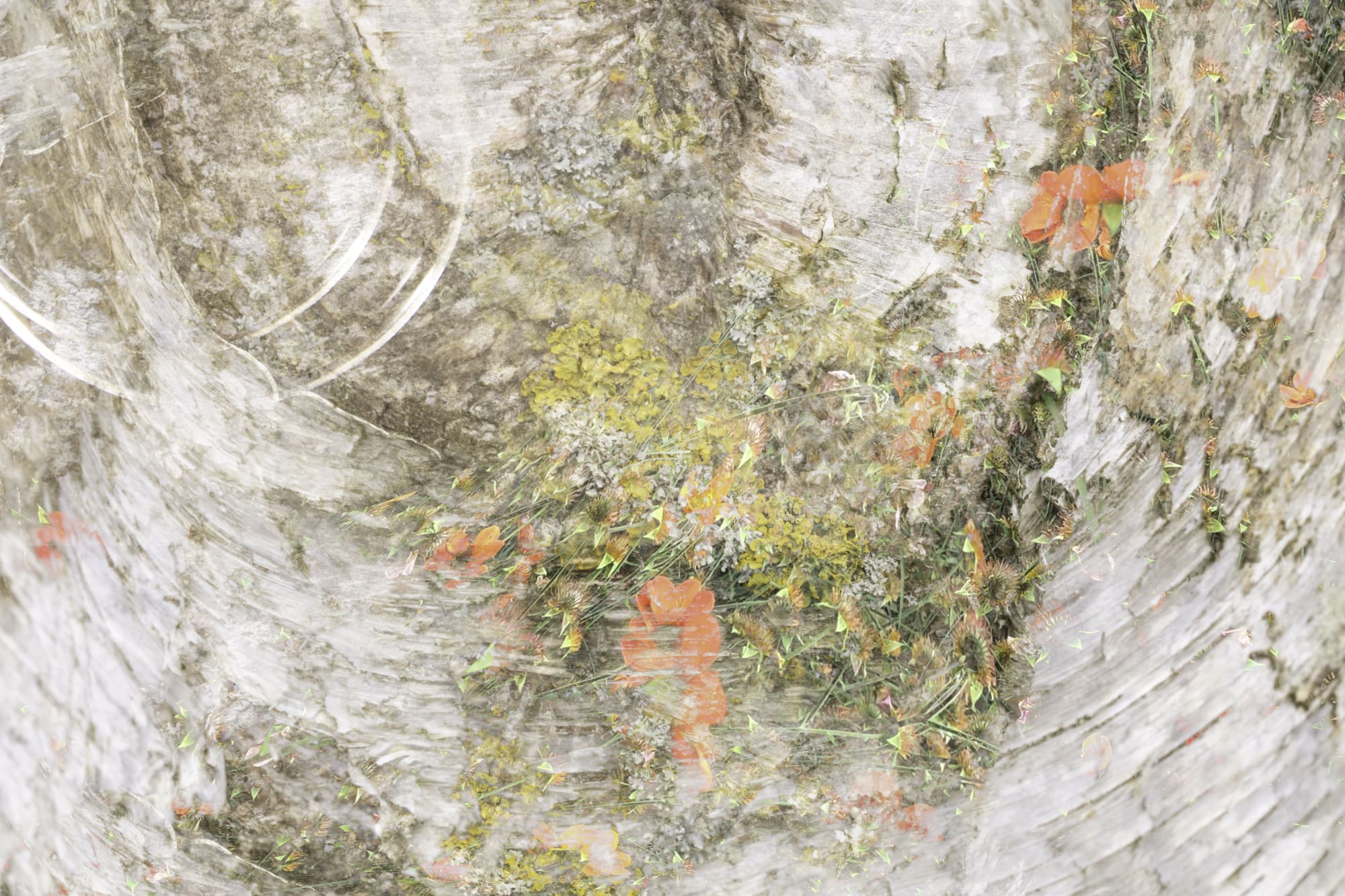 Welcome to Fitzwalls