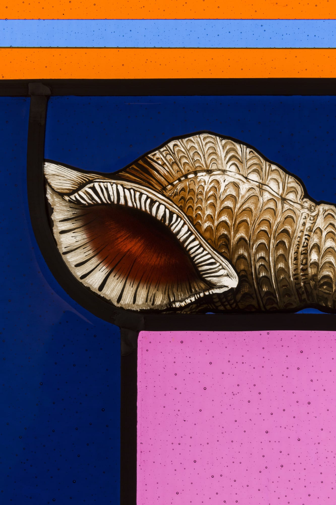 Amir H. Fallah | A Natural Selection