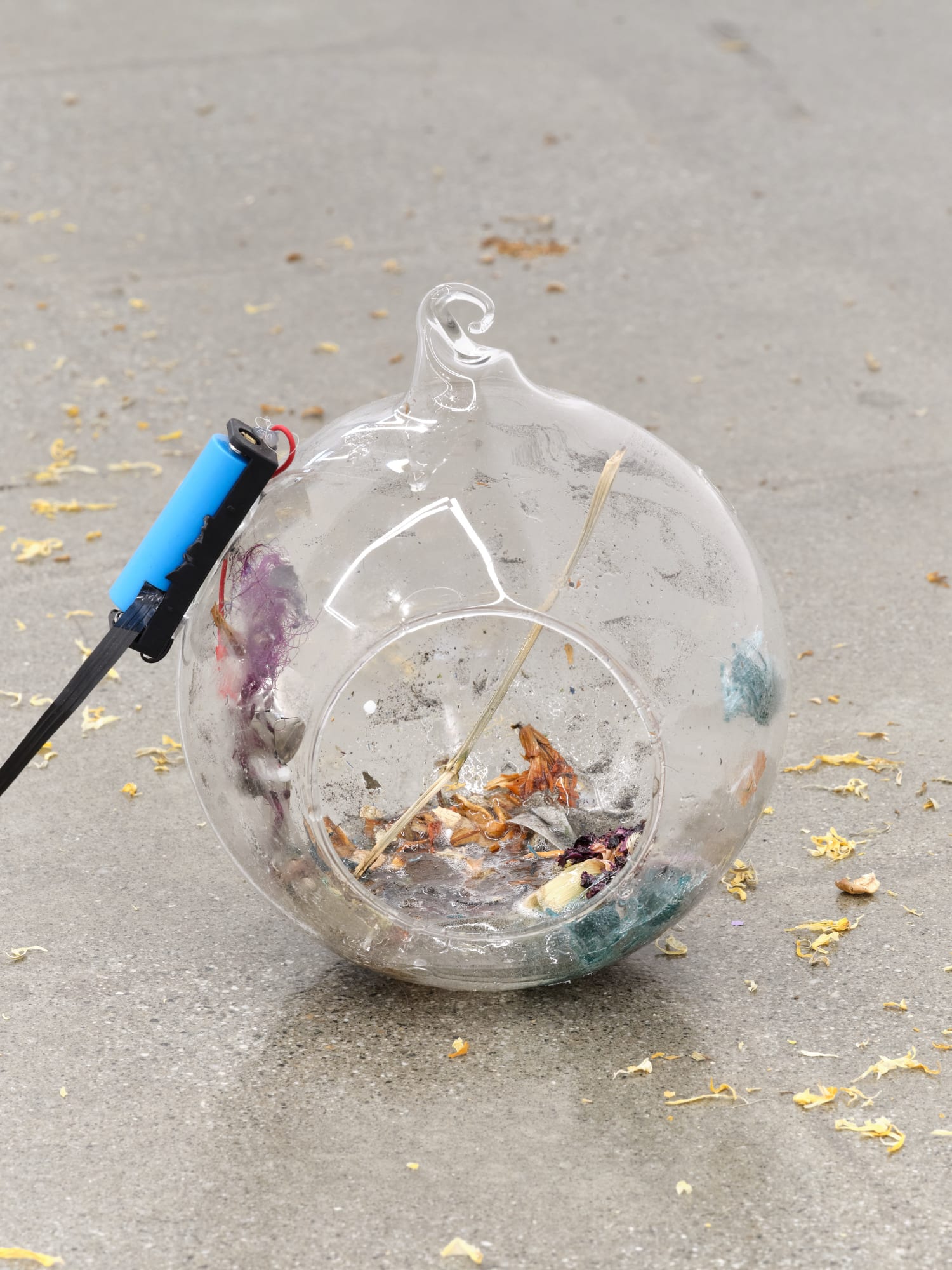 Mimi Park "Treasure Hunt"