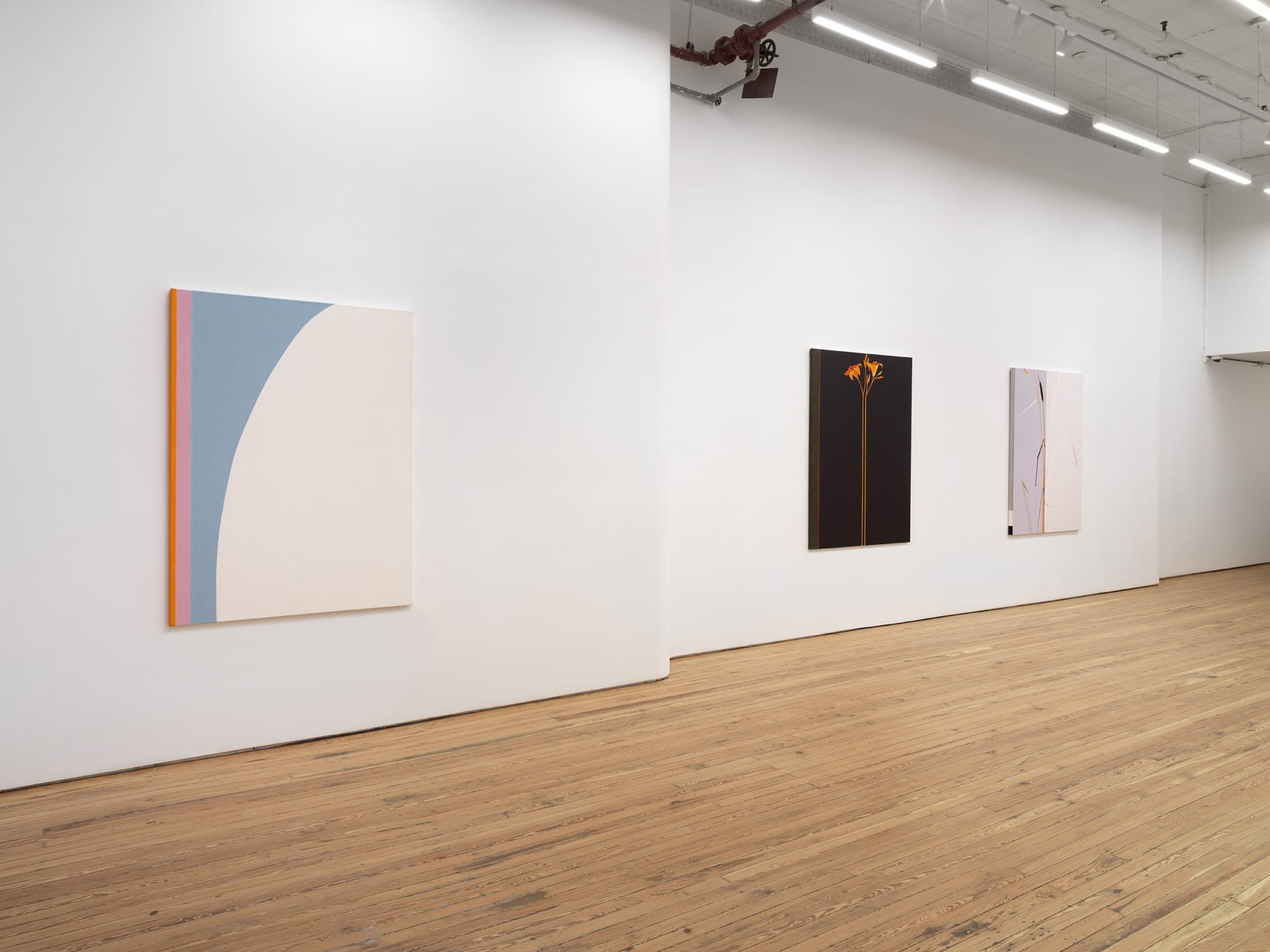 Nan Montgomery "Diametric Abstractions"