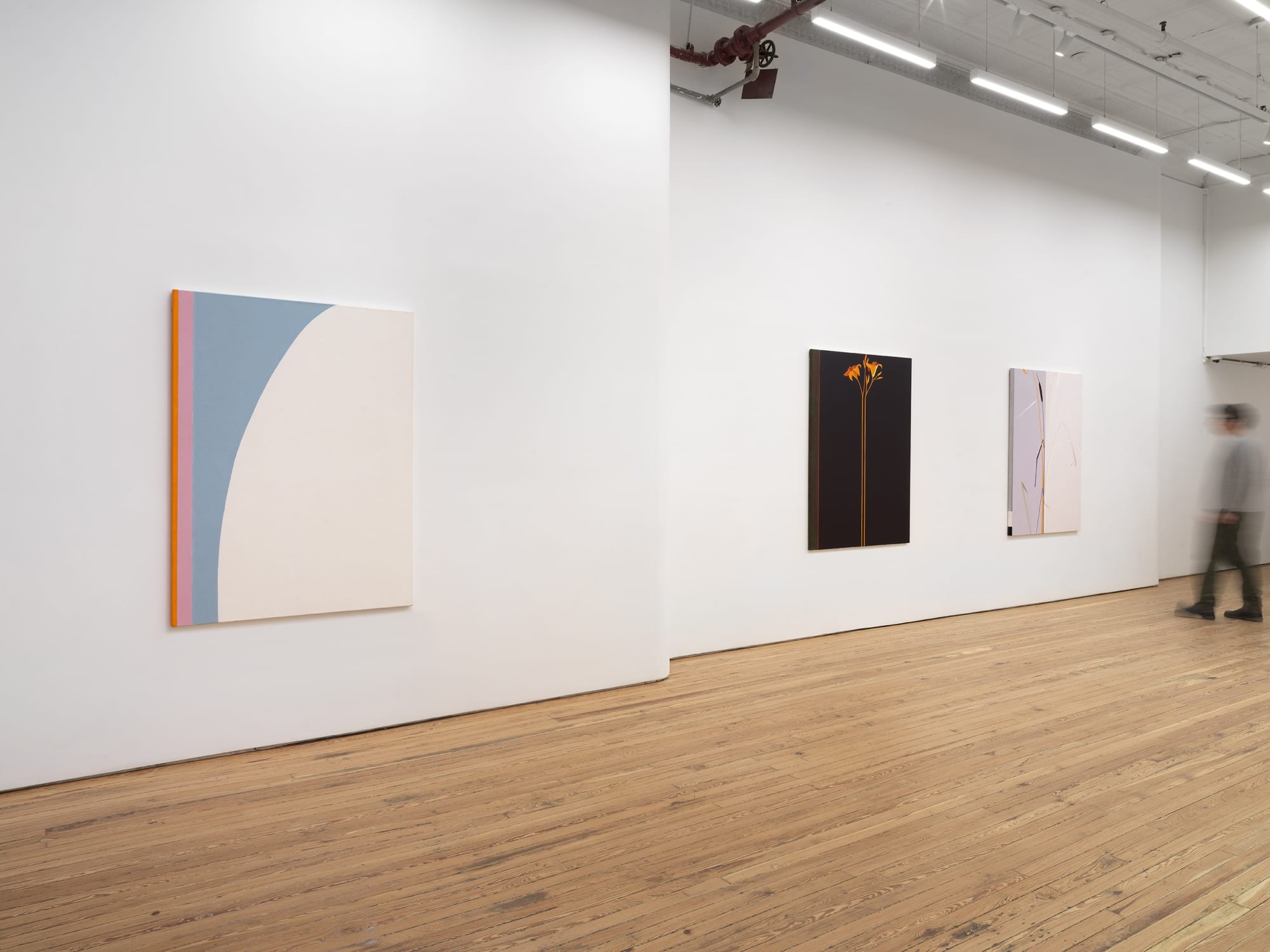 Nan Montgomery "Diametric Abstractions"