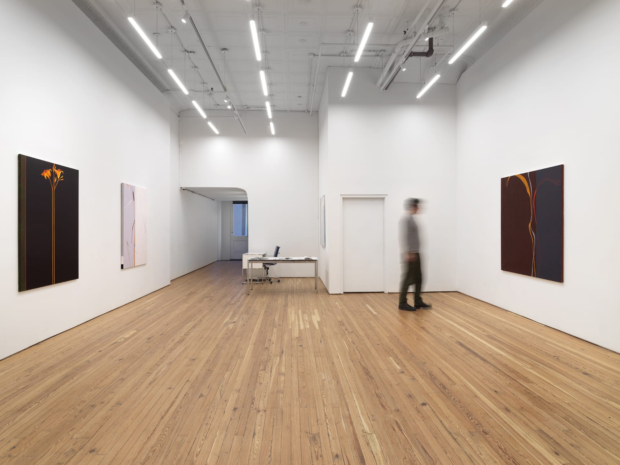 Nan Montgomery "Diametric Abstractions"