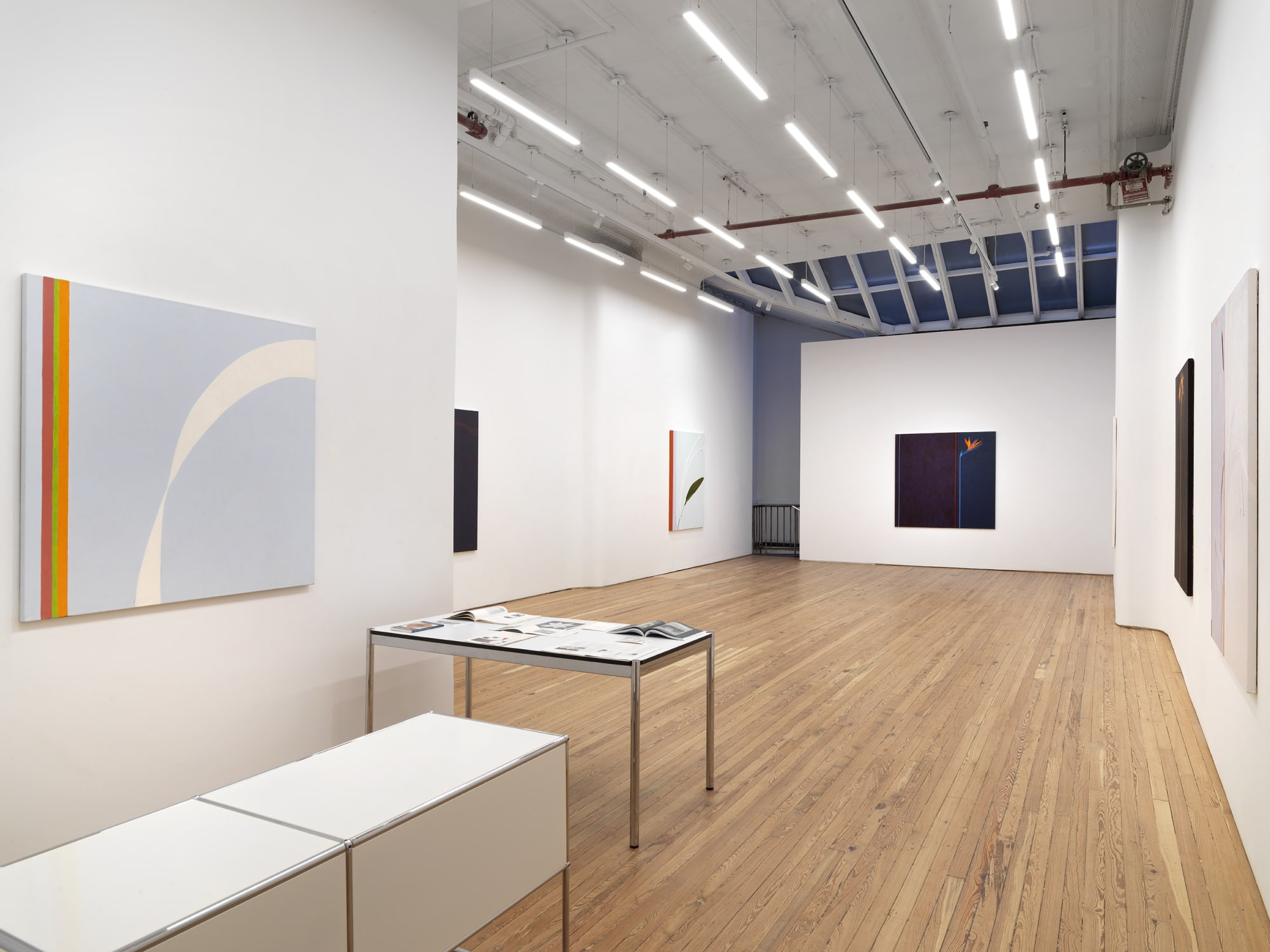 Nan Montgomery "Diametric Abstractions"