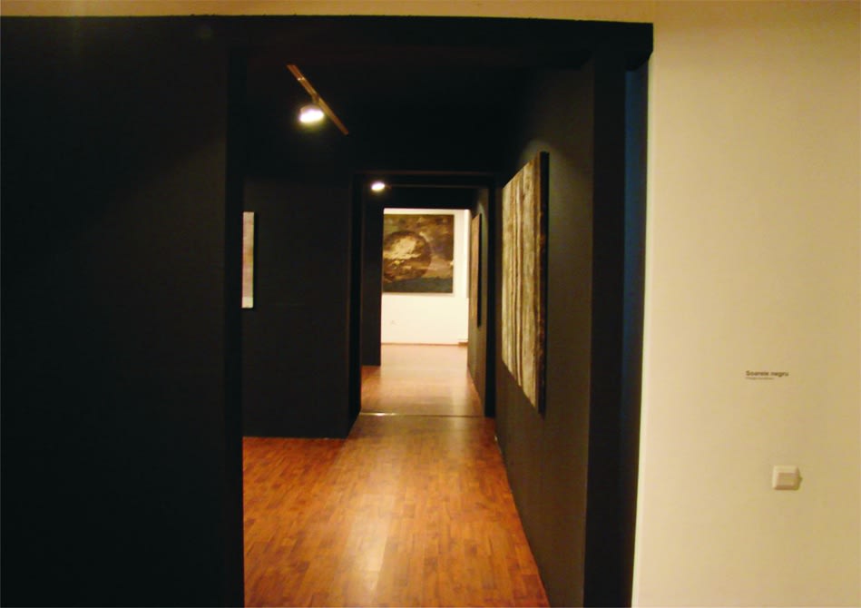 IOAB SBÂRCIU: CIDER FOREST