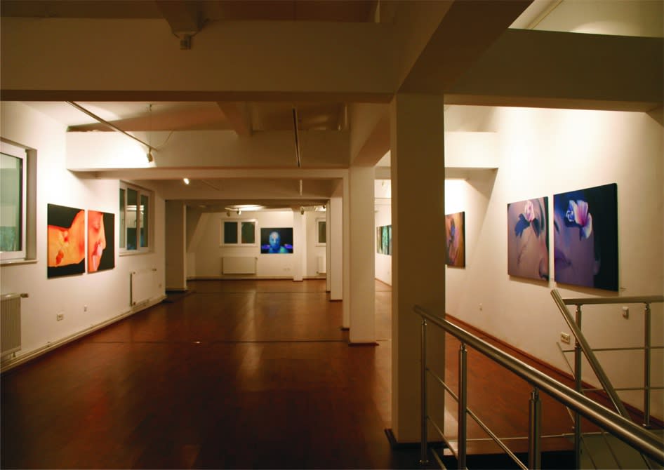 ANA-MARIA MICU: BLOOM