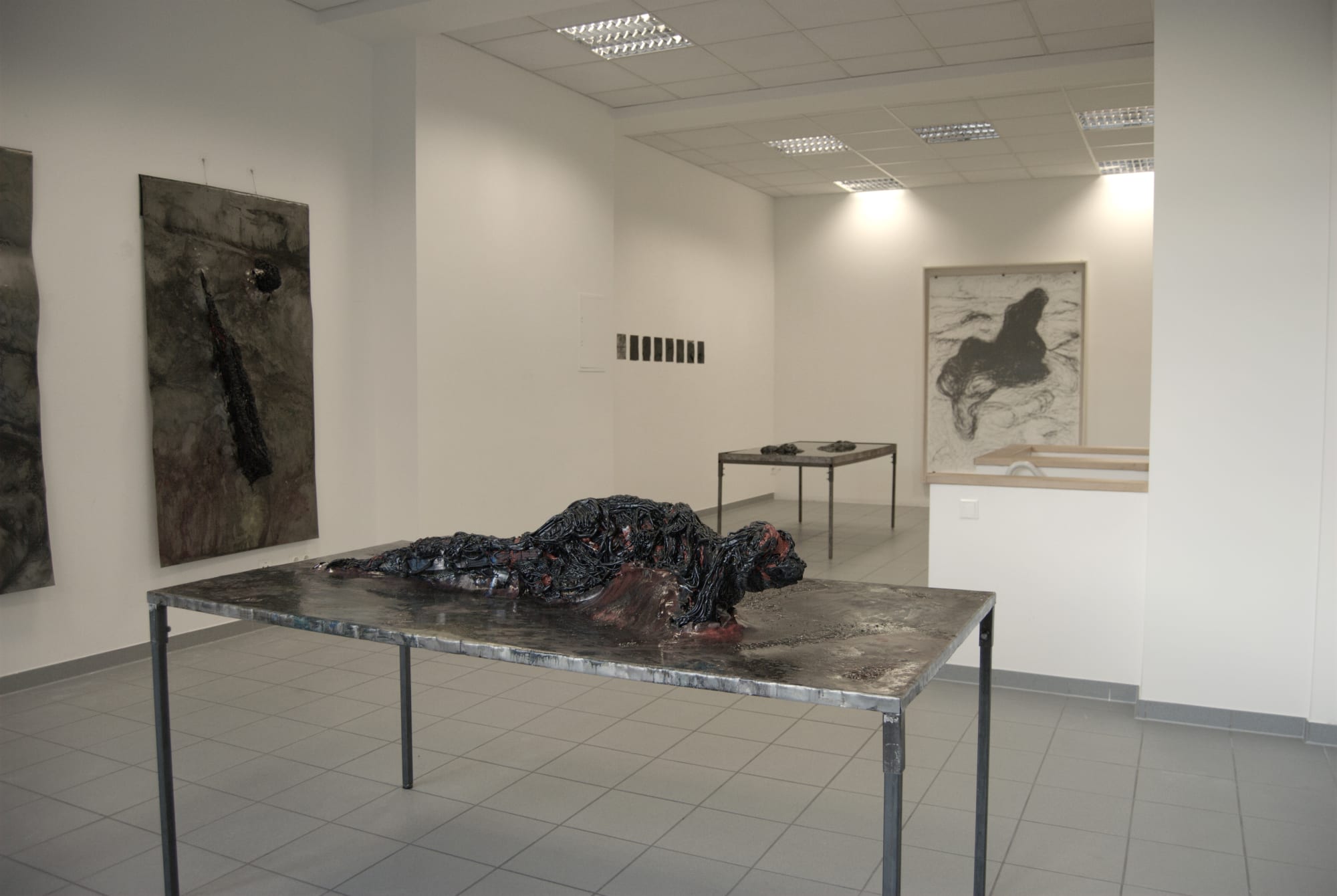 Dissecting the Unknown installation view at Anaid Art Gallery Berlin in 2016