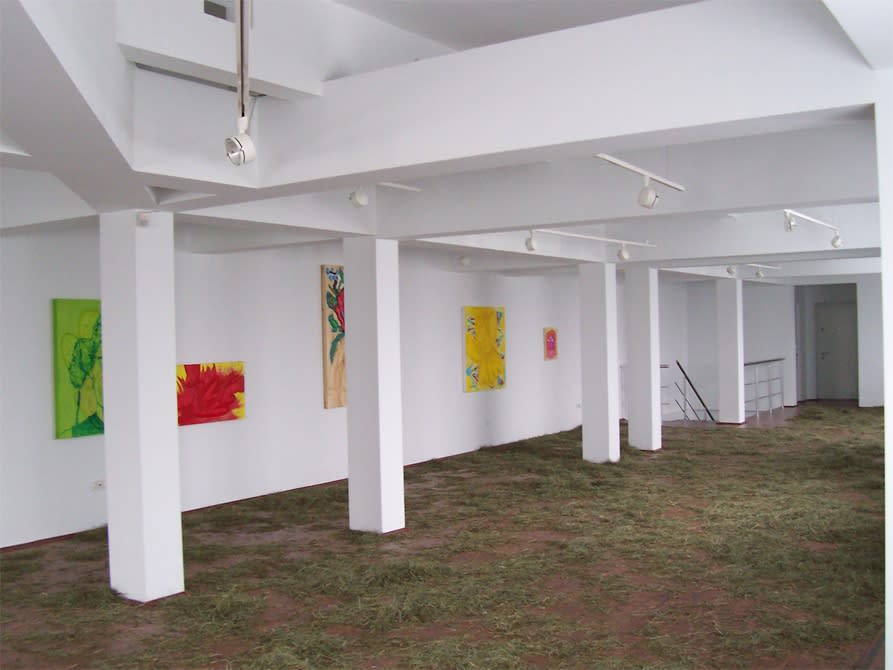 DUMITRU GORZO: Dilitdotcom - Symptoms of the contemporary myths