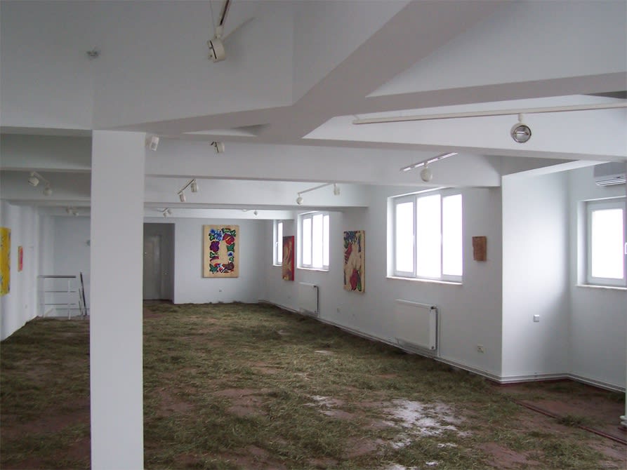 DUMITRU GORZO: Dilitdotcom - Symptoms of the contemporary myths