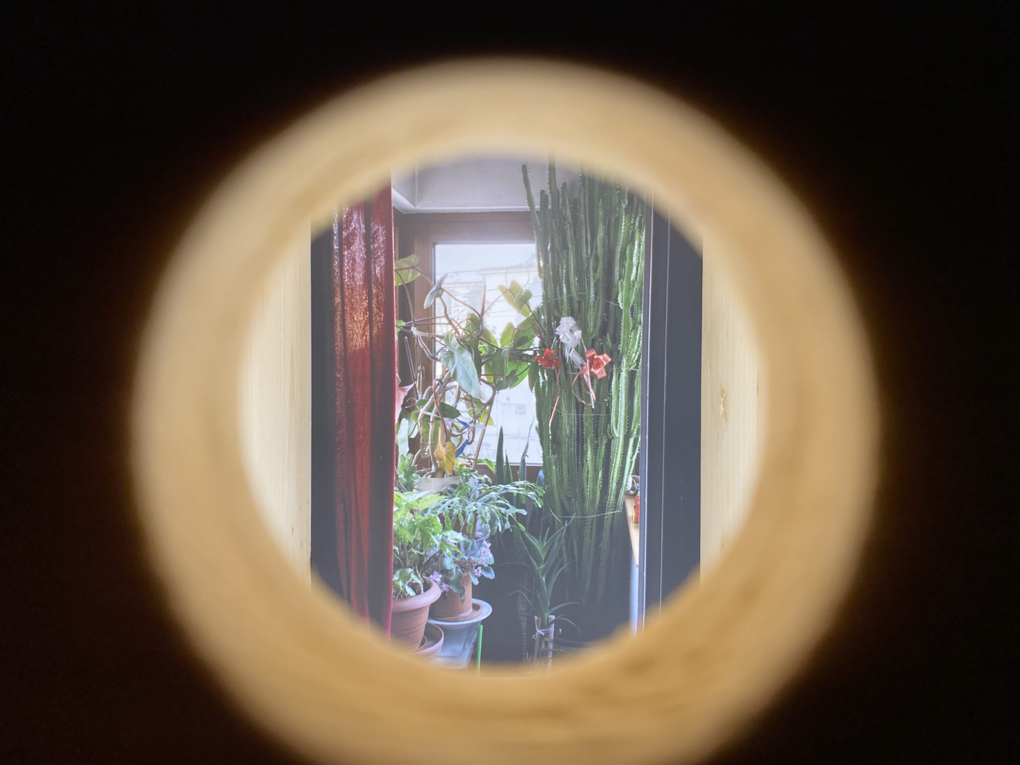 Laseta exhibition by Raluca and Matei Arnautu at Cultural Center Brancovenesti Palace Mogosoaia Romania installation view 2020