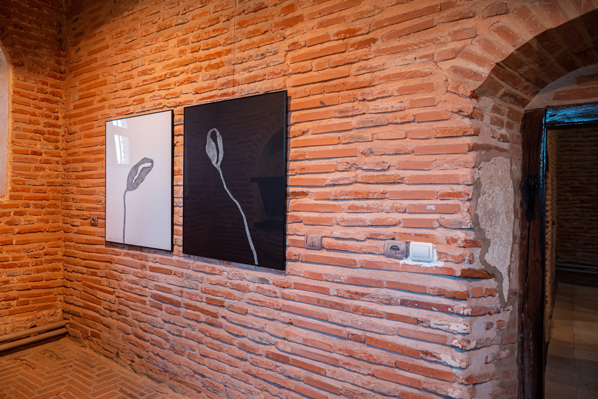 ALINA ALDEA: SECRET GARDEN