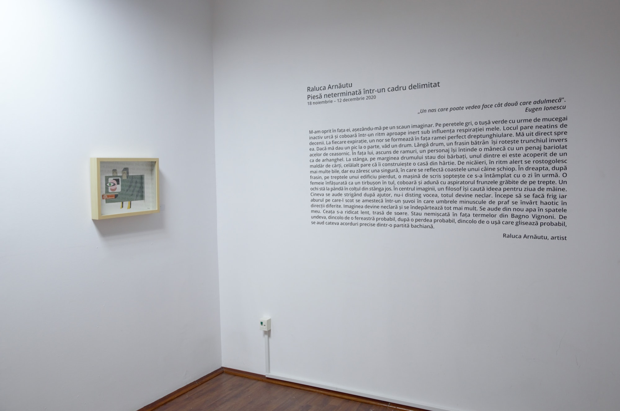 RALUCA ARNĂUTU: UNFINISHED PIECE IN A DEFINED FRAME