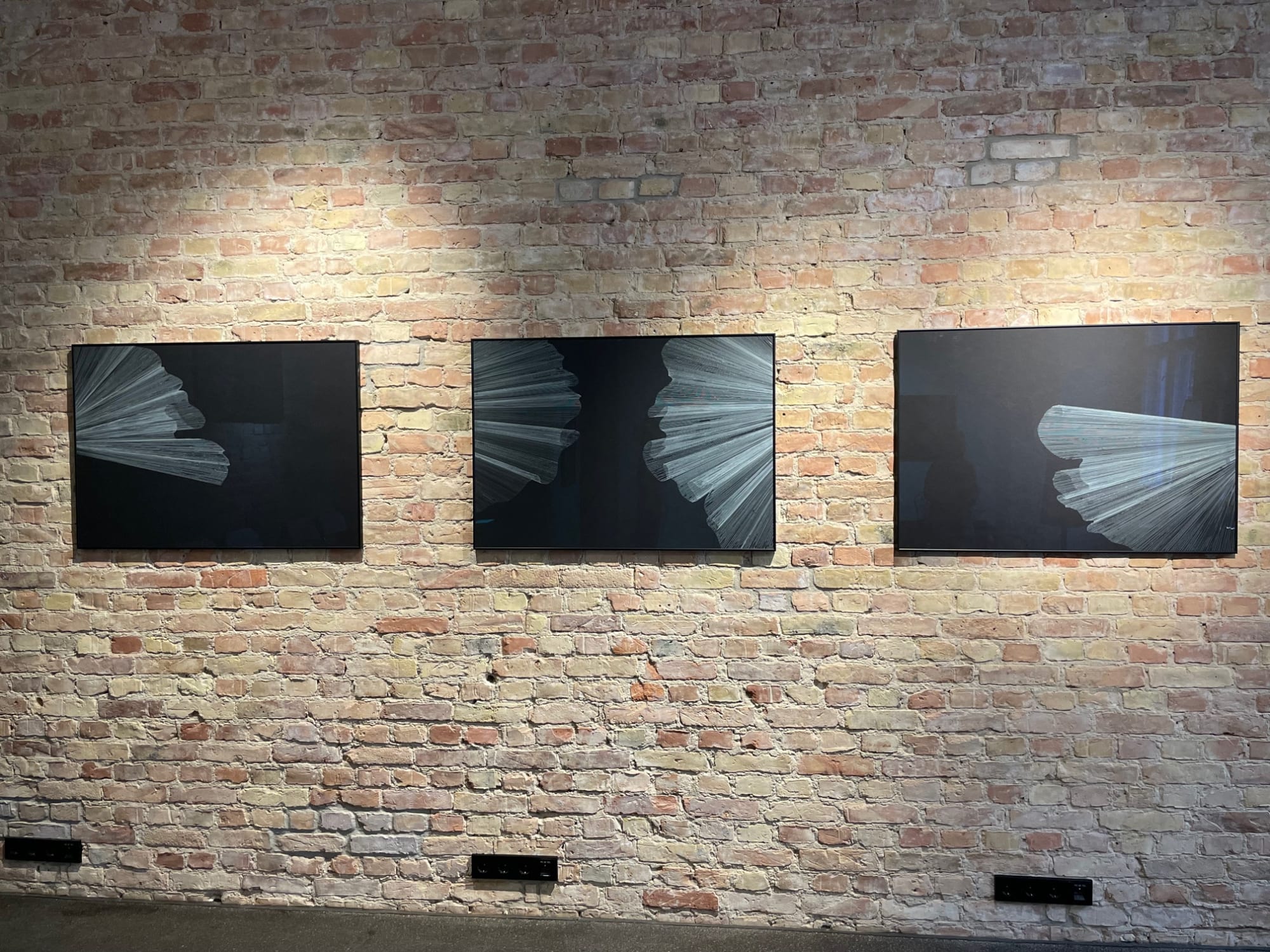 ALINA ALDEA: BUTTERFLY EFFECT