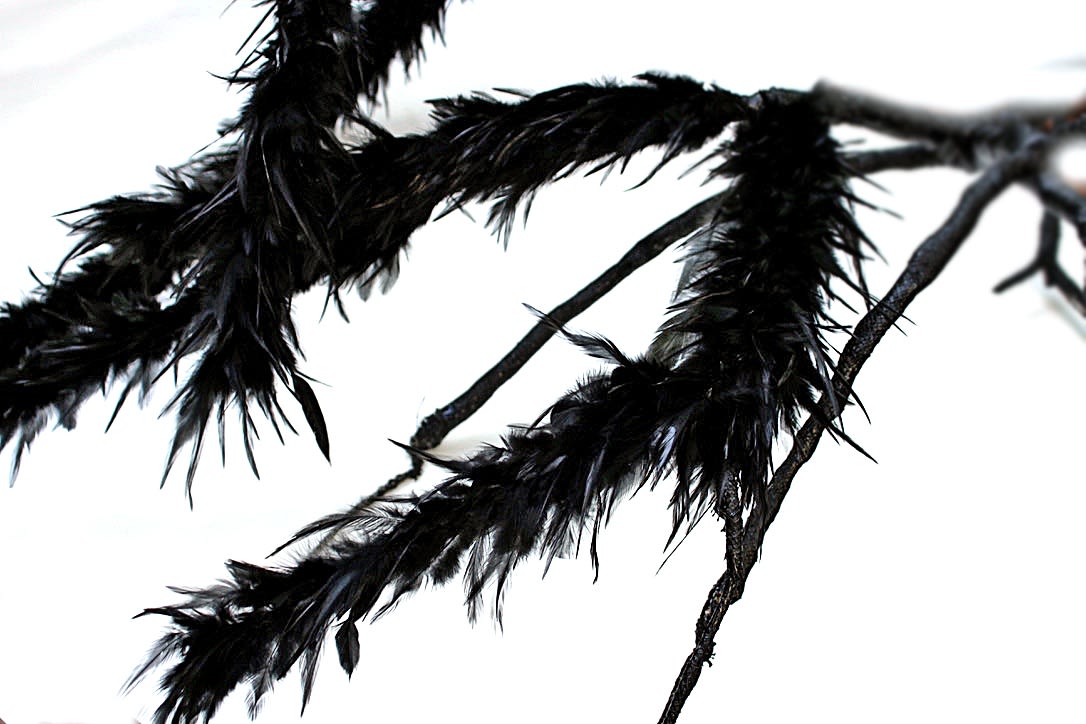 ALINA ALDEA: ALTER REALITY