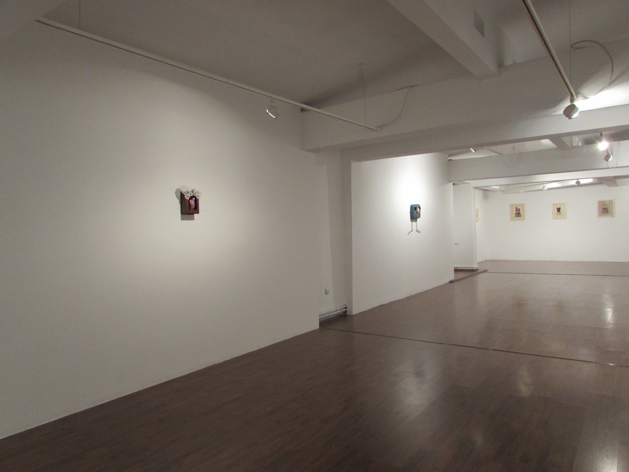 RALUCA ARNĂUTU: BOXES, DRAWERS AND A GIBBON