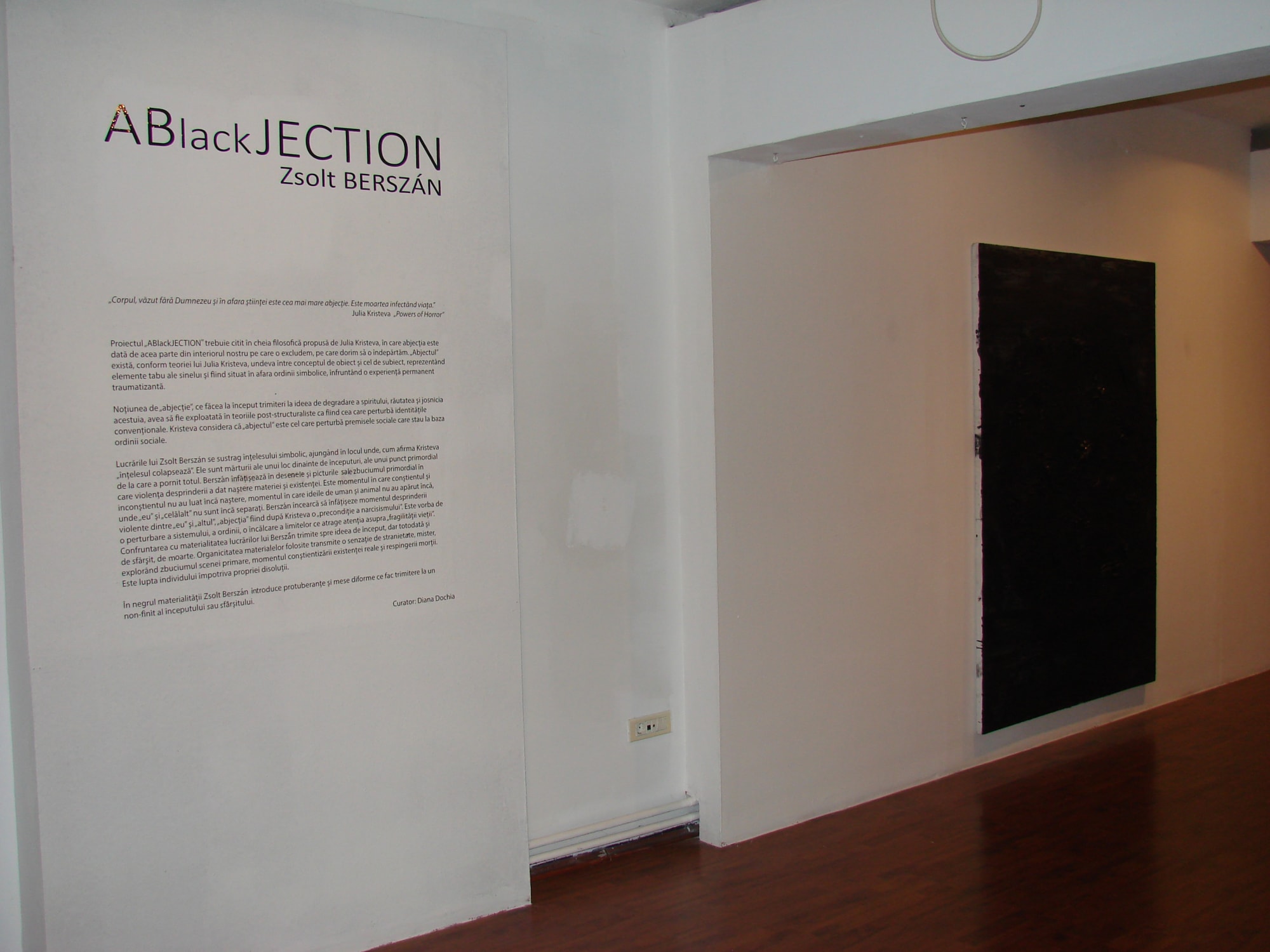 ZSOLT BERSZÁN: ABlackJECTION