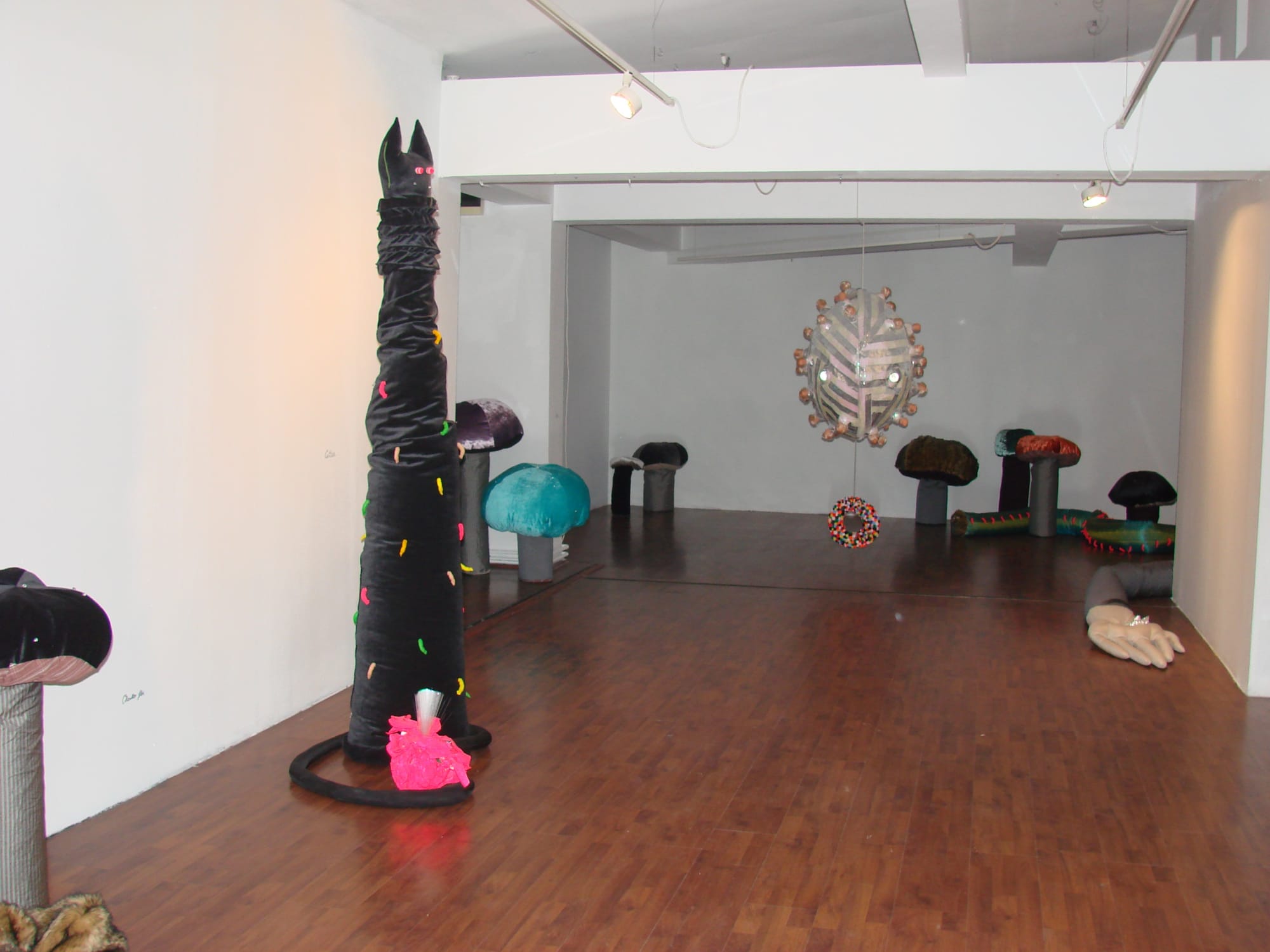 RALUCA ARNĂUTU: ZOOLANDIA