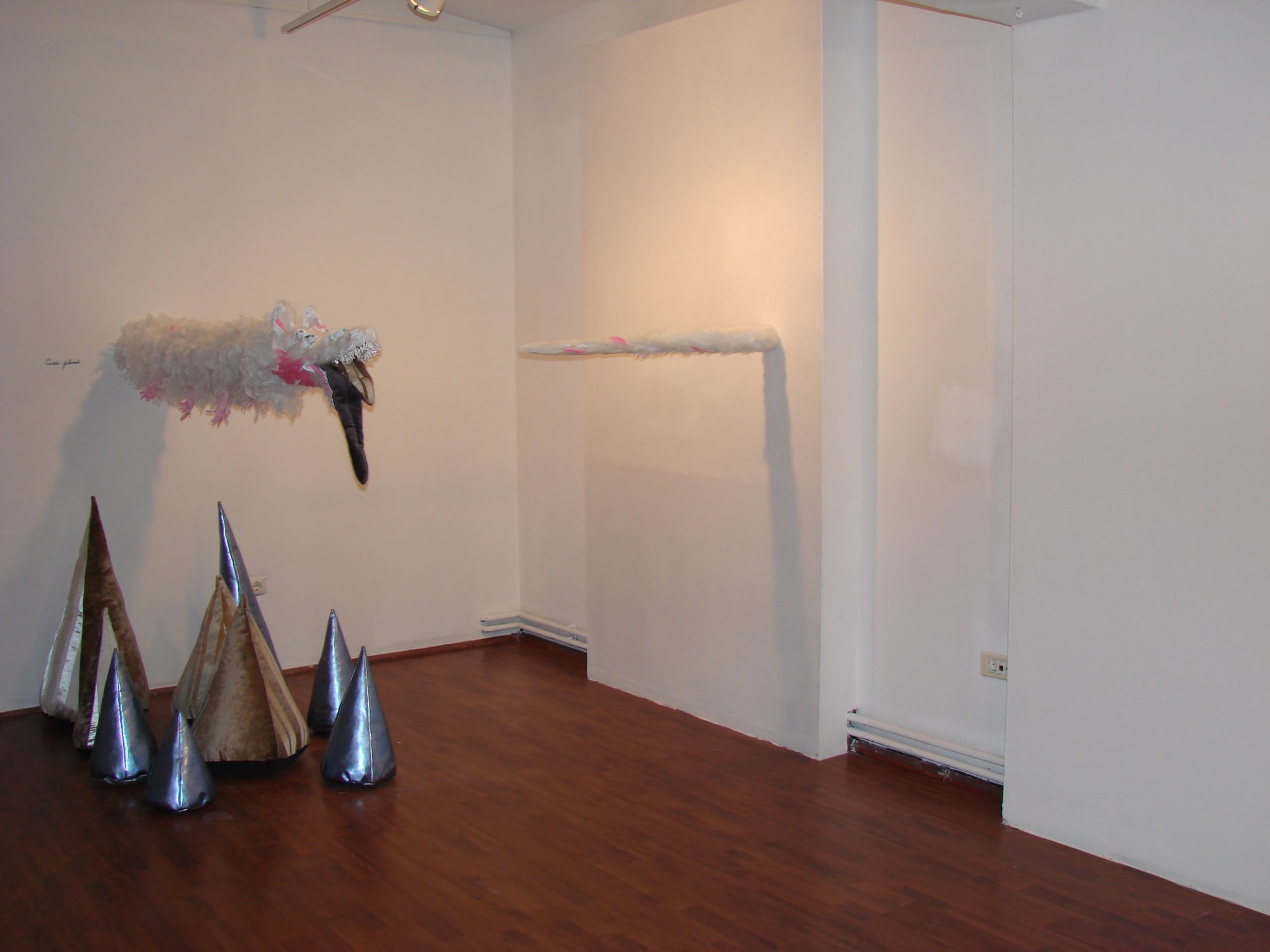 RALUCA ARNĂUTU: ZOOLANDIA