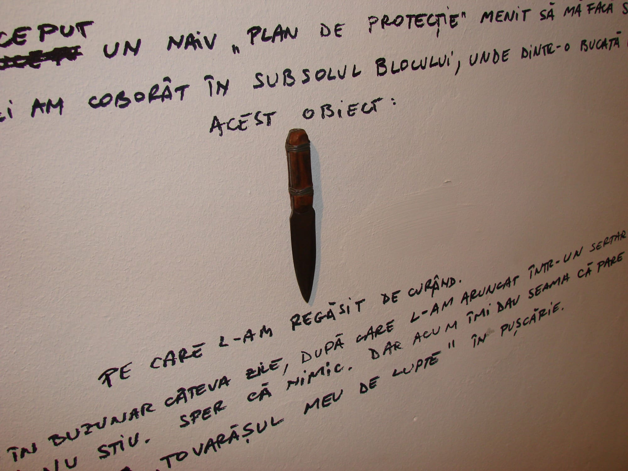 MATEI ARNĂUTU: REMBO'S DREAM