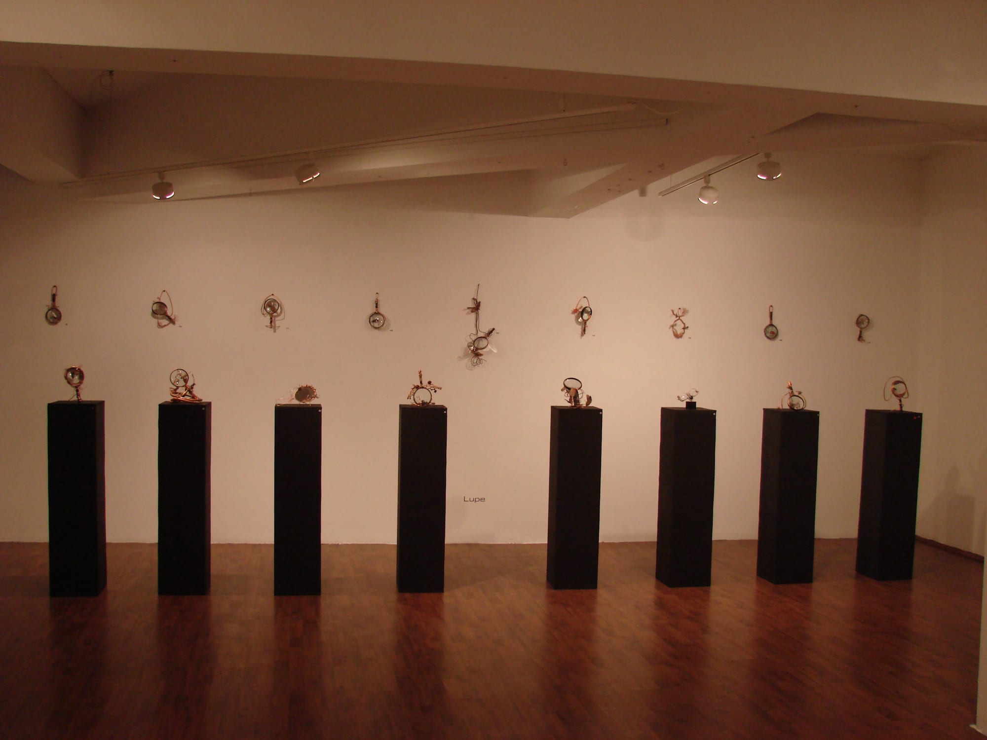 ILEANA DANA MARINESCU: MICRO/MACRO