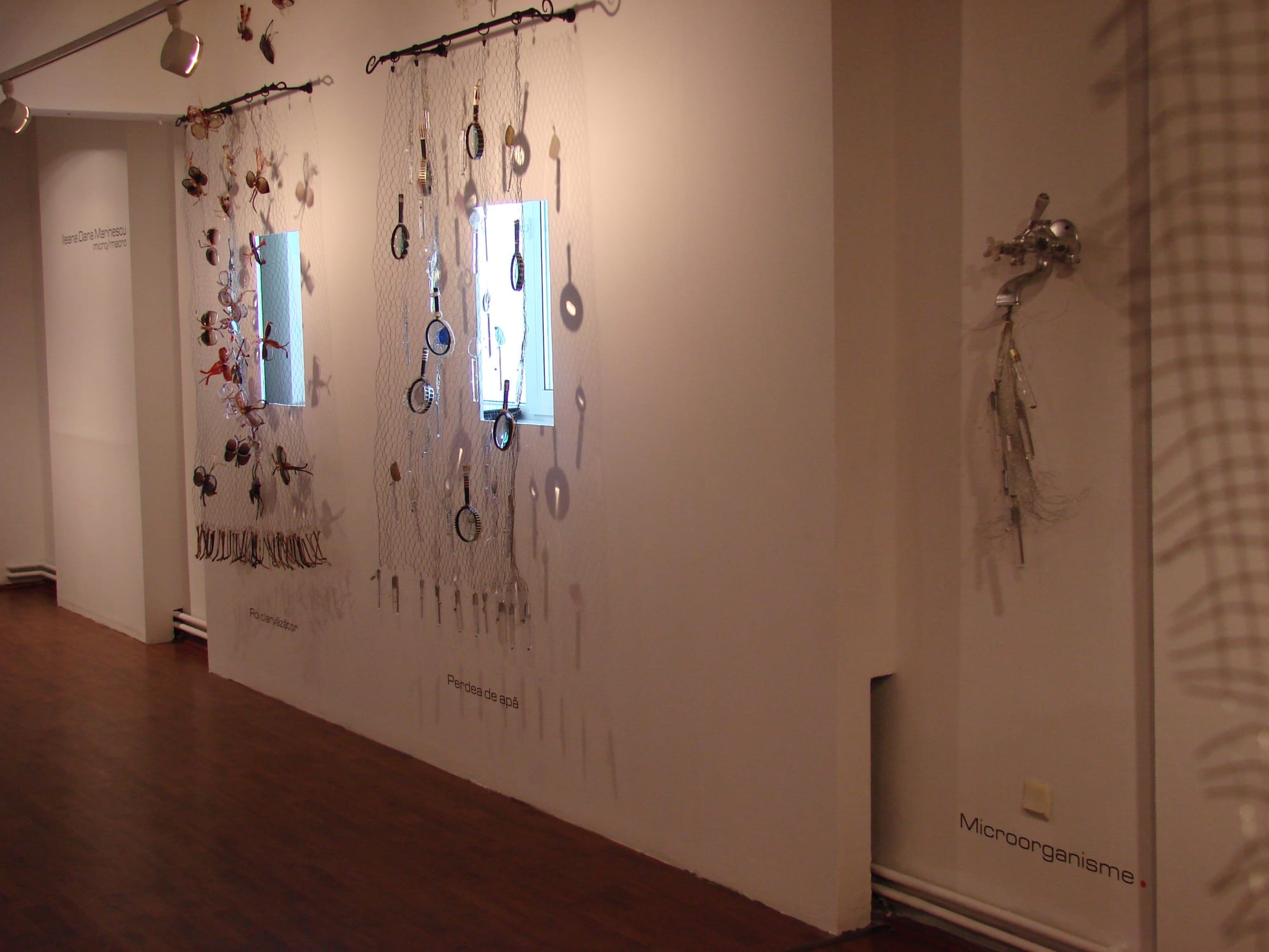 ILEANA DANA MARINESCU: MICRO/MACRO