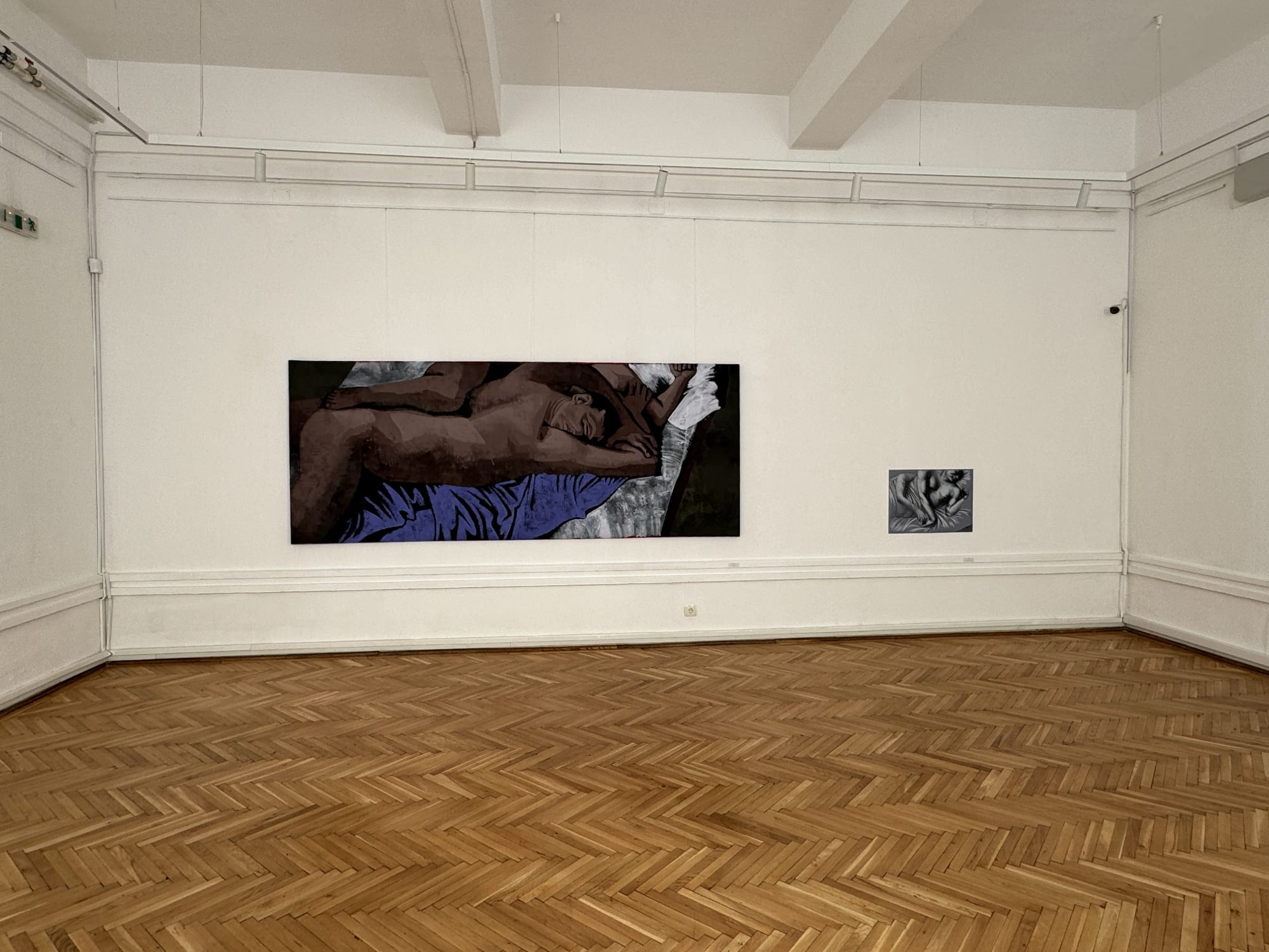 ALEXANDRU RĂDVAN: Skin to Skin