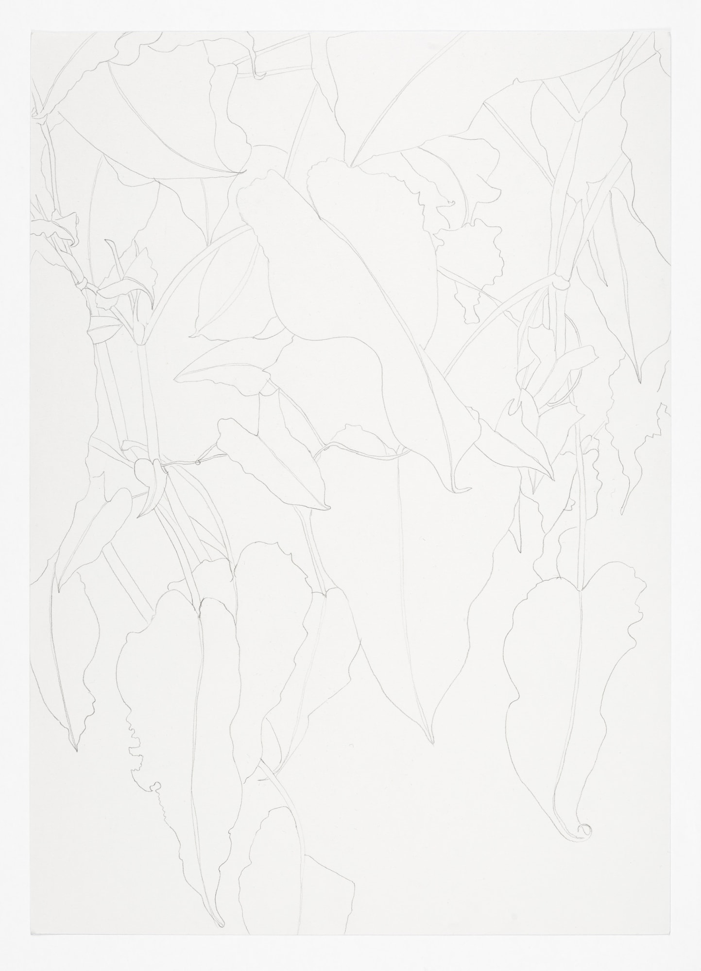 Lucile Desamory Avioth 2020